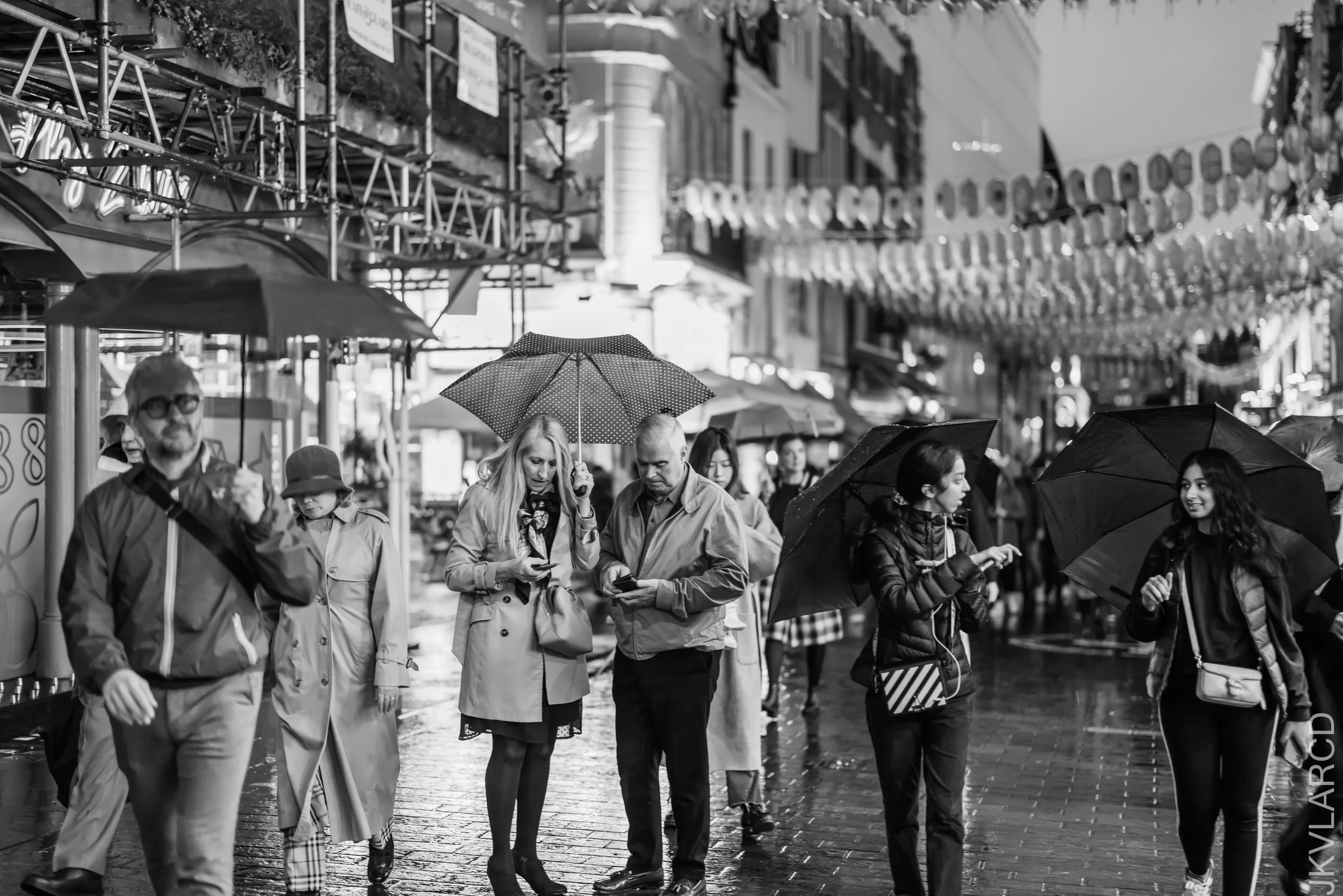 EOS R5_2022_10_24_8129.jpg