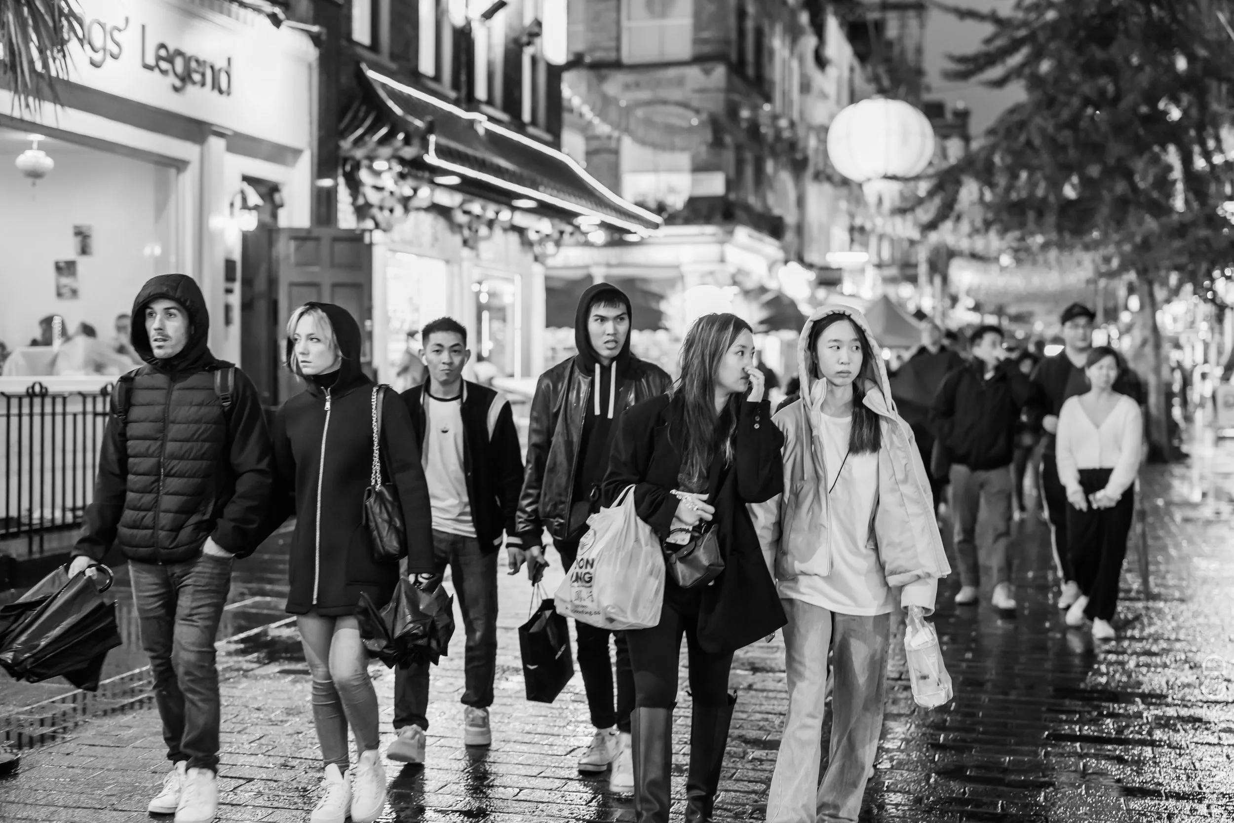 EOS R5_2022_10_24_8136.jpg