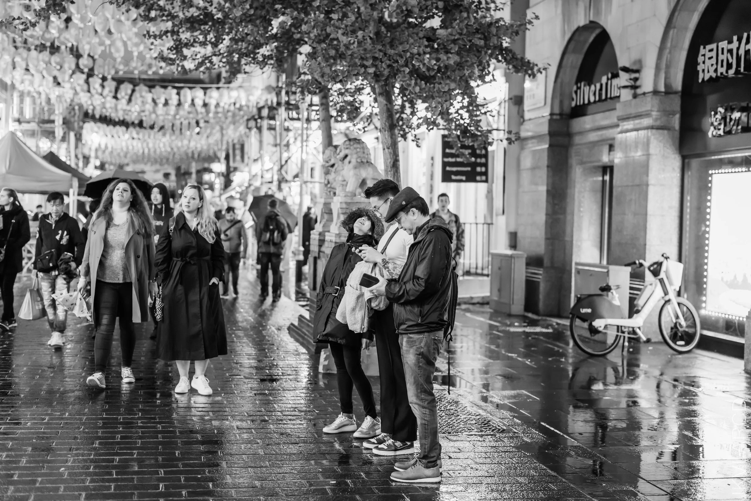 EOS R5_2022_10_24_8137.jpg