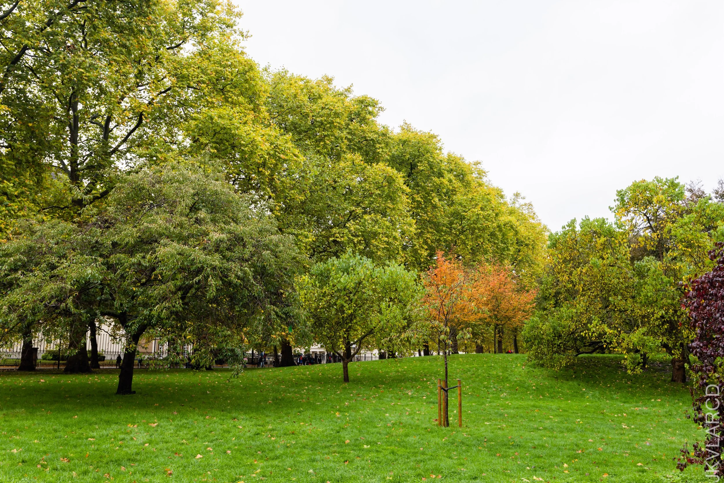 EOS R5_2022_10_23_7962.jpg