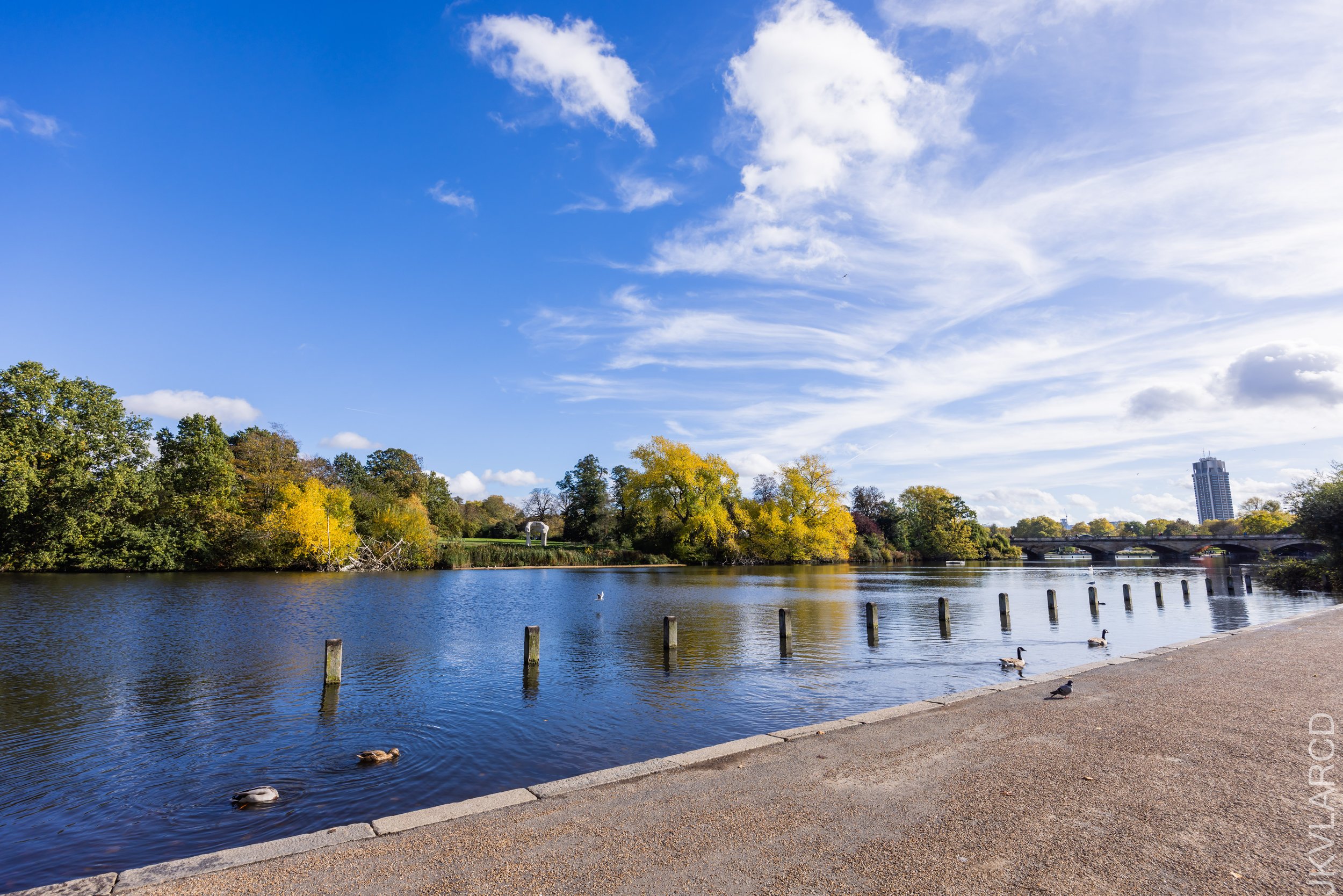 EOS R5_2022_10_24_8187.jpg