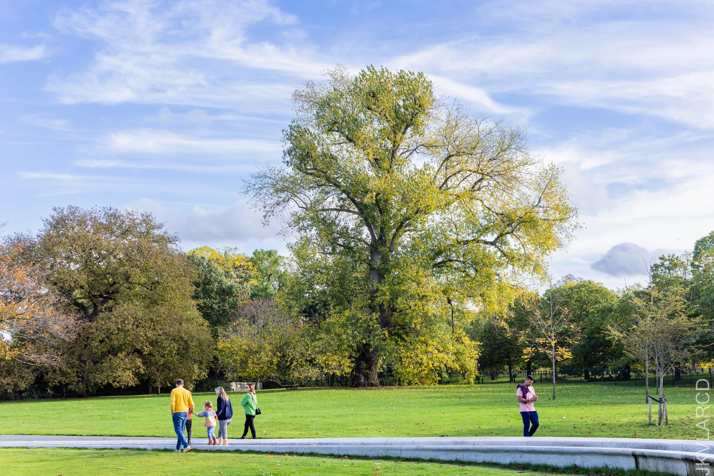 EOS R5_2022_10_24_8208.jpg