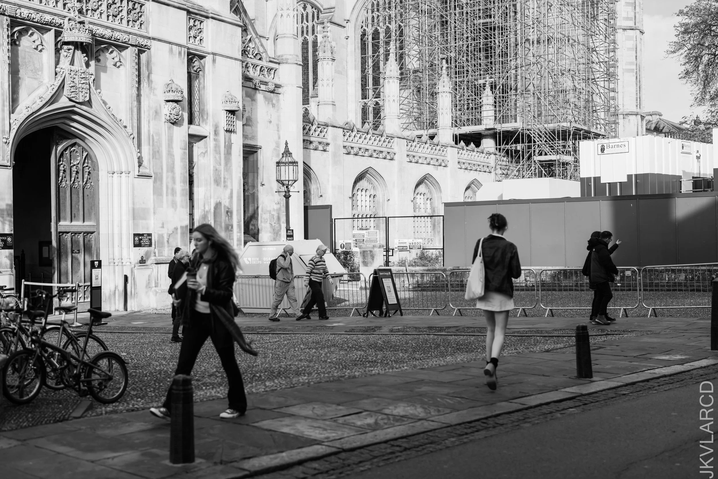 EOS R5_2022_10_25_8253.jpg