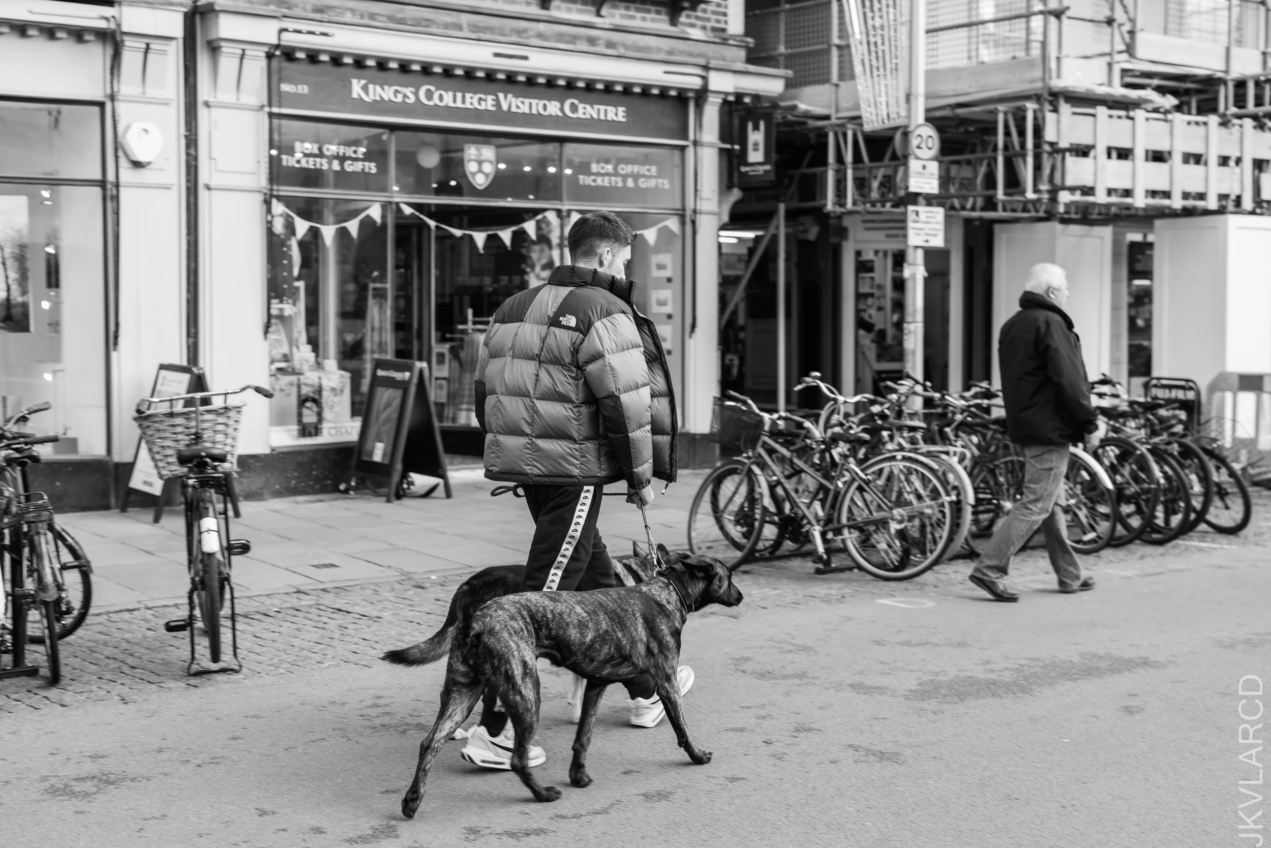 EOS R5_2022_10_25_8399.jpg