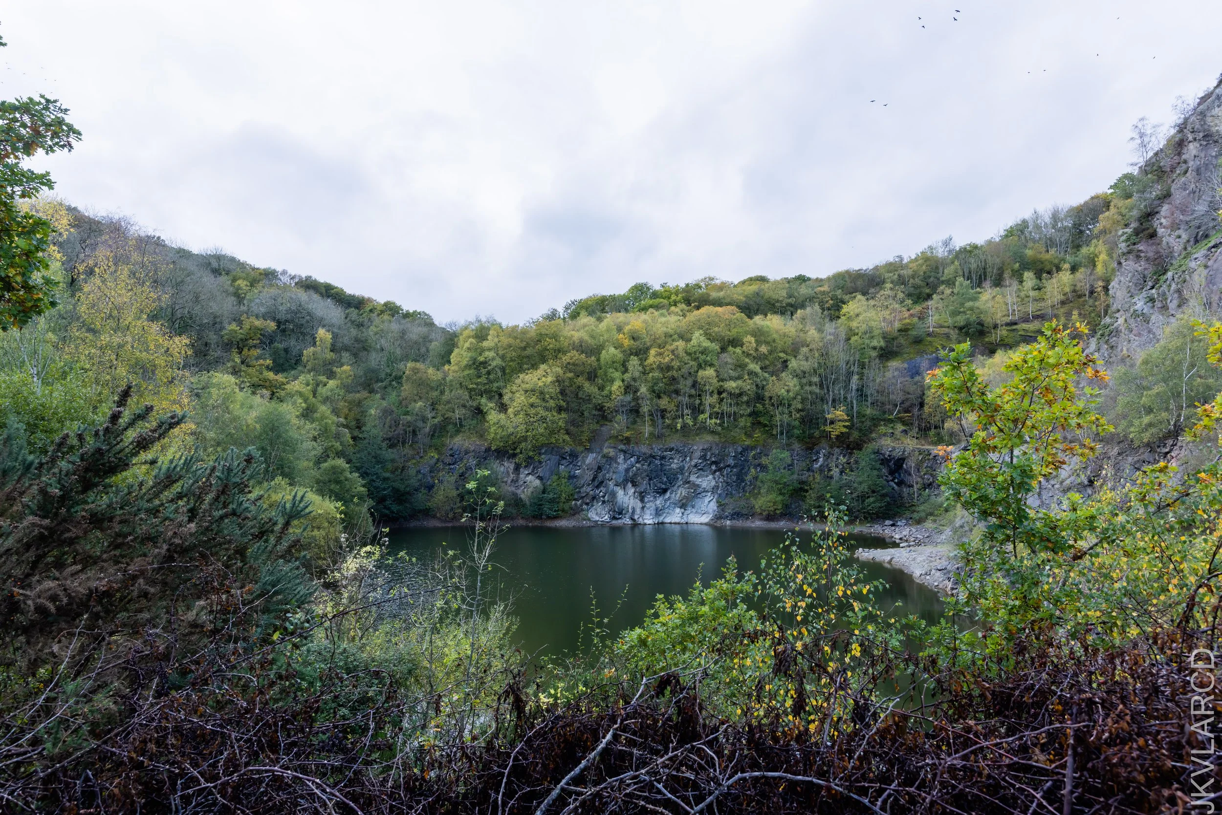 EOS R5_2022_11_01_9390.jpg