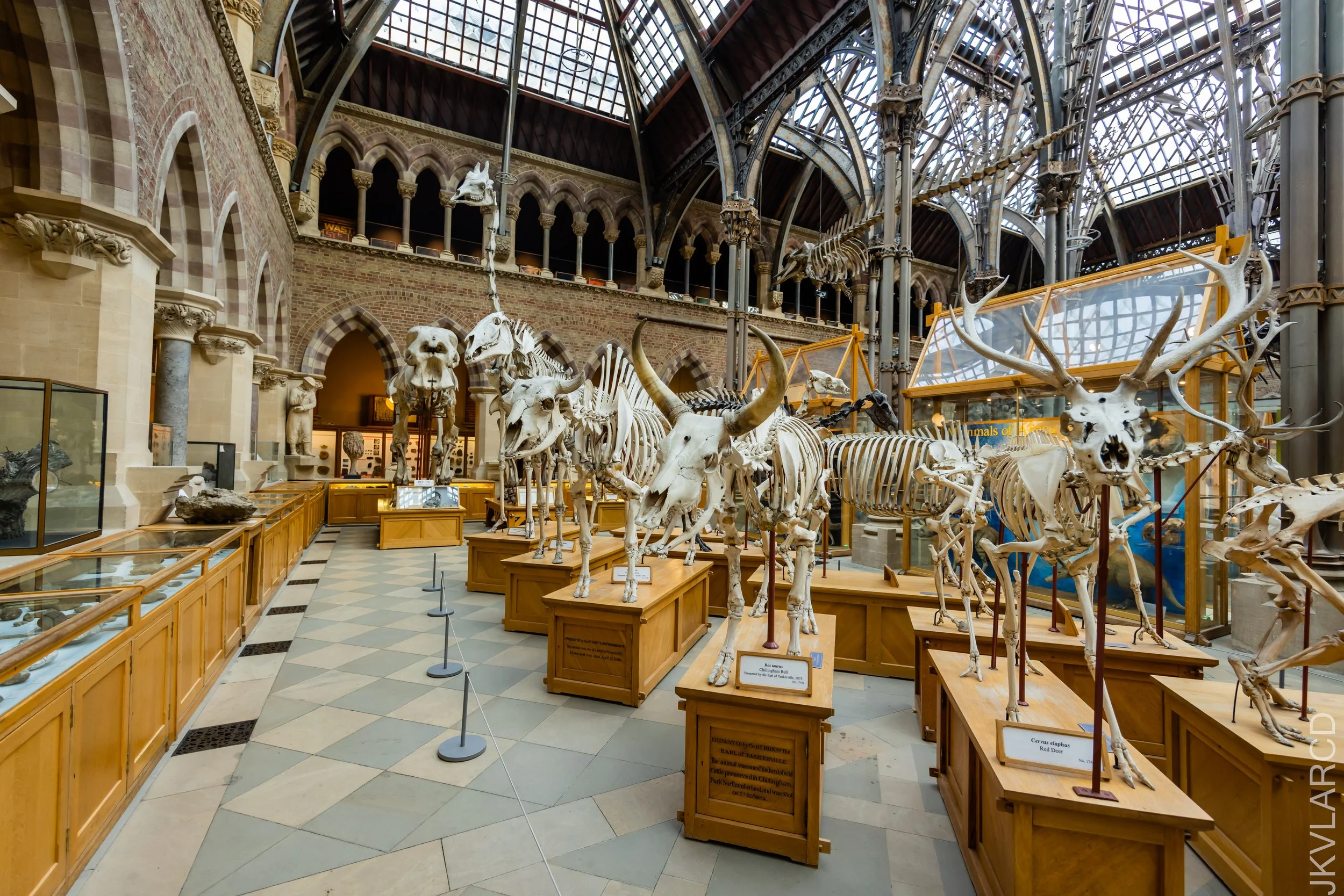 EOS R5_2022_11_02_9587.jpg
