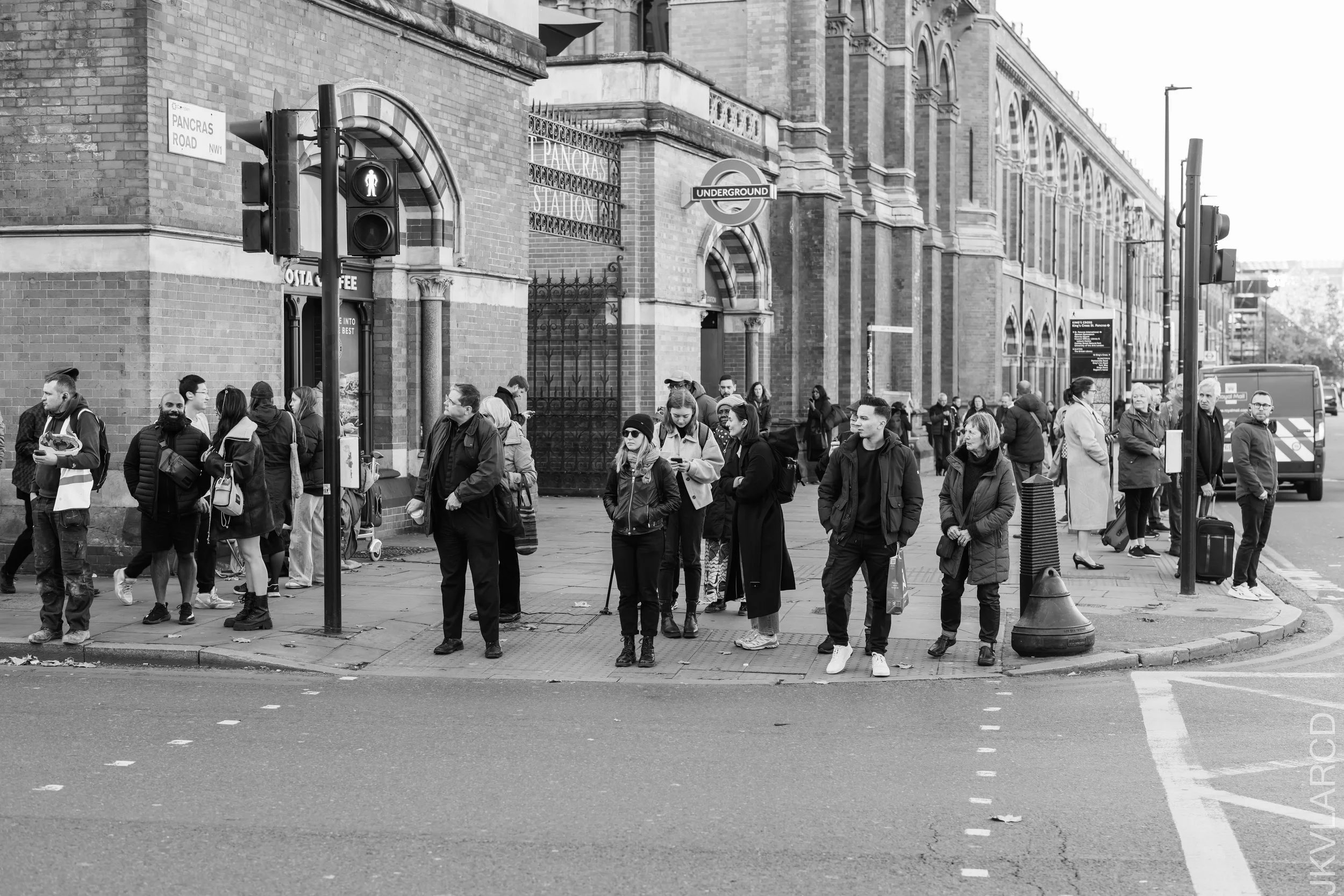 EOS R5_2022_11_04_9856.jpg