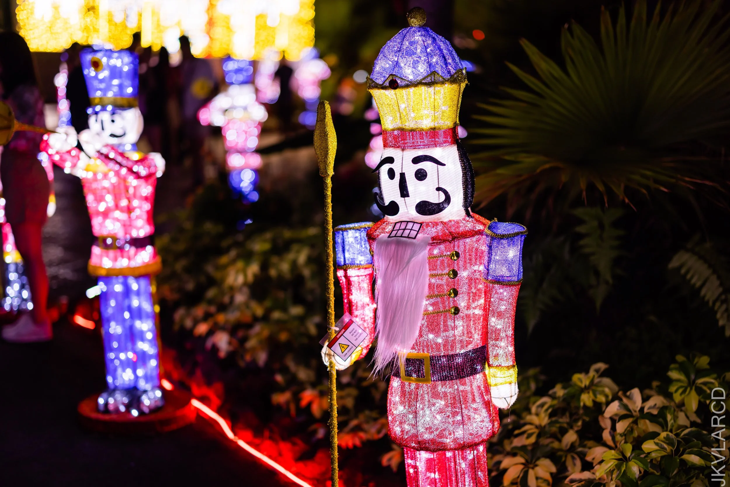 EOS R5_2022_12_23_0415.jpg