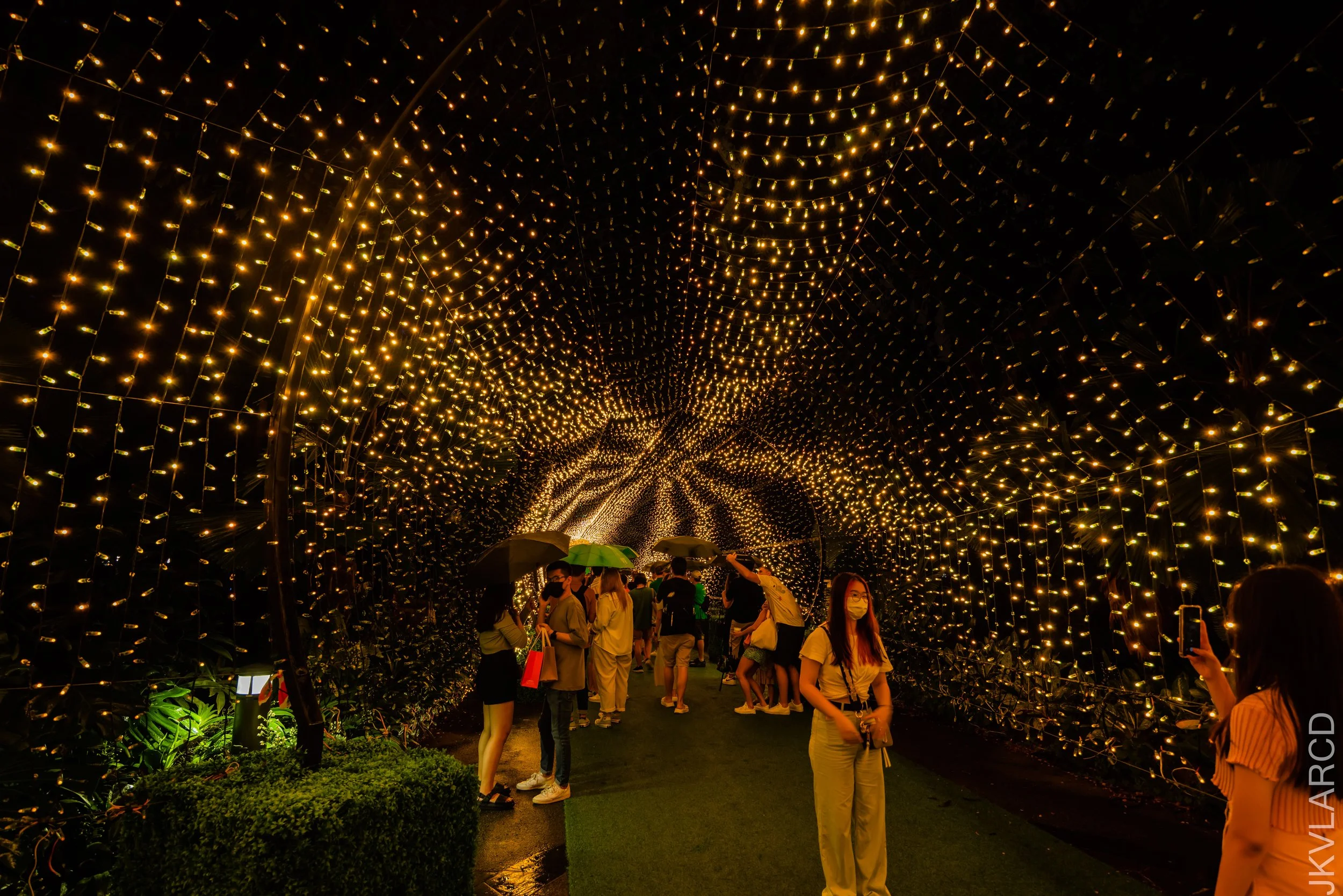 EOS R5_2022_12_23_0434.jpg