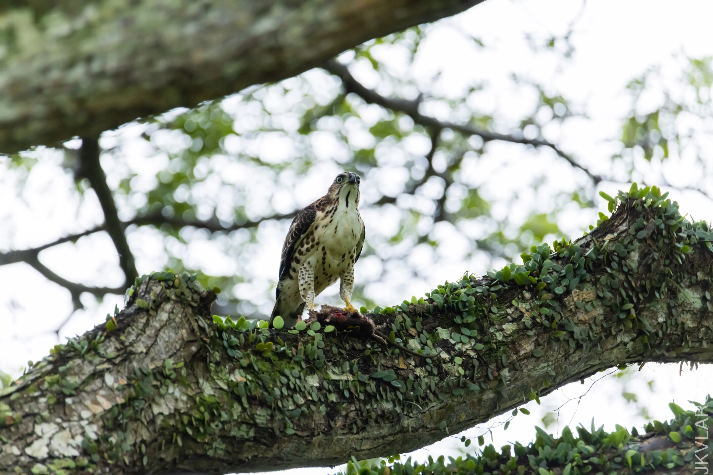 EOS R5_2023_01_28_1569.jpg