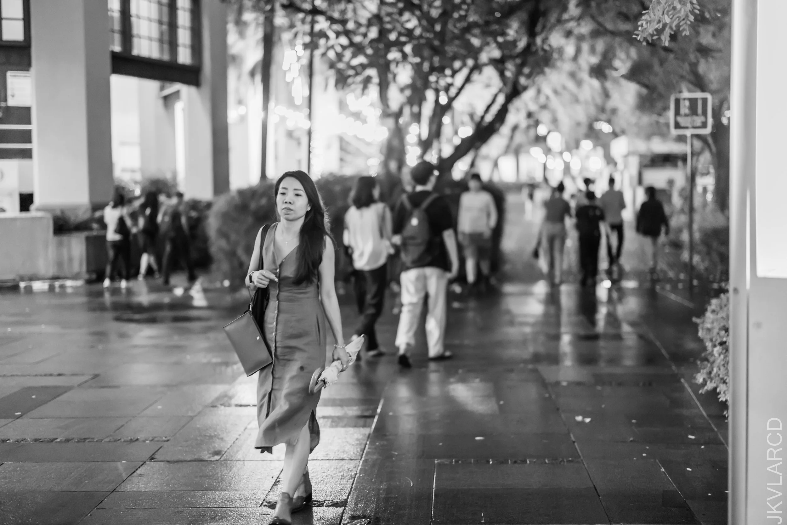 EOS R5_2023_02_04_2382.jpg