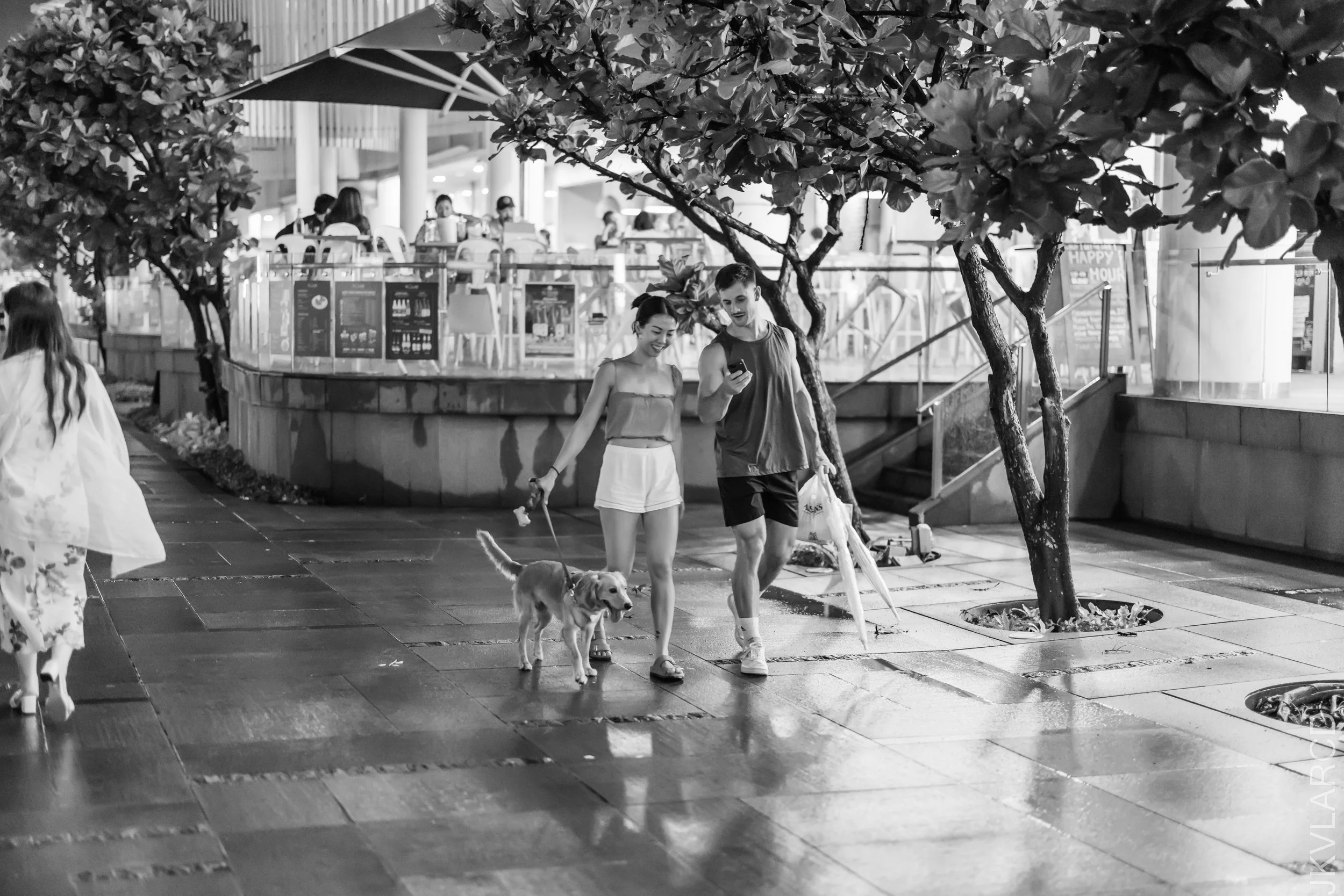 EOS R5_2023_02_04_2425.jpg