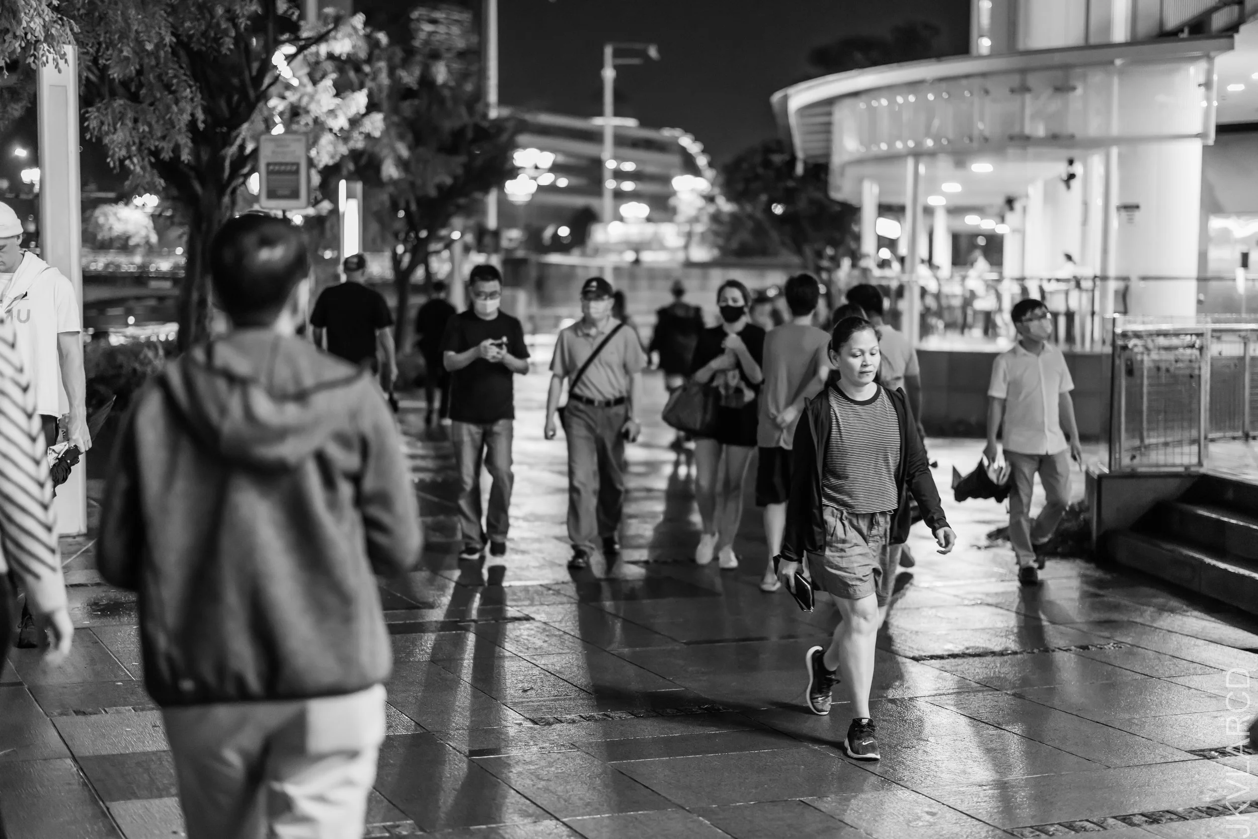 EOS R5_2023_02_04_2436.jpg