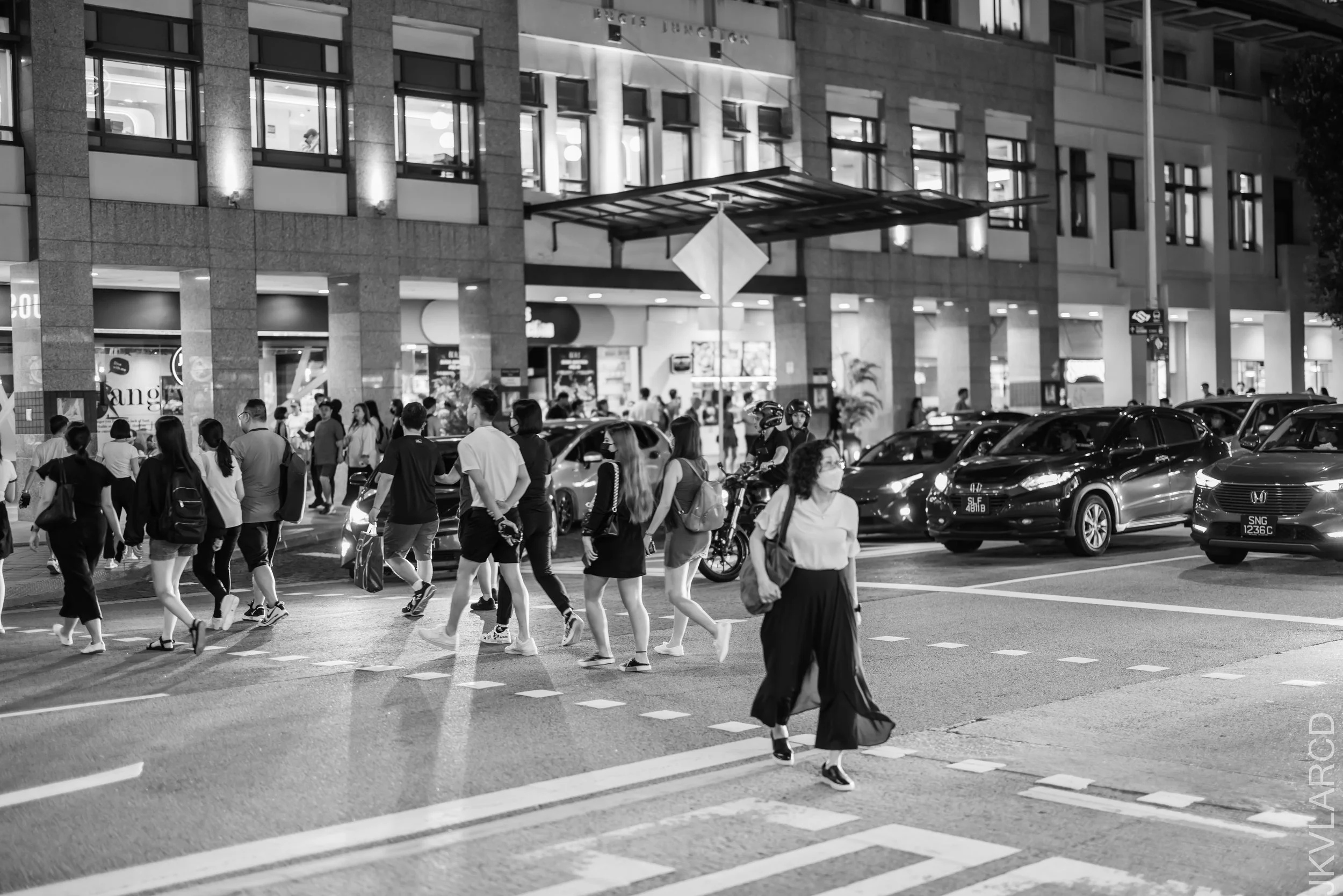 EOS R5_2023_02_11_2499.jpg