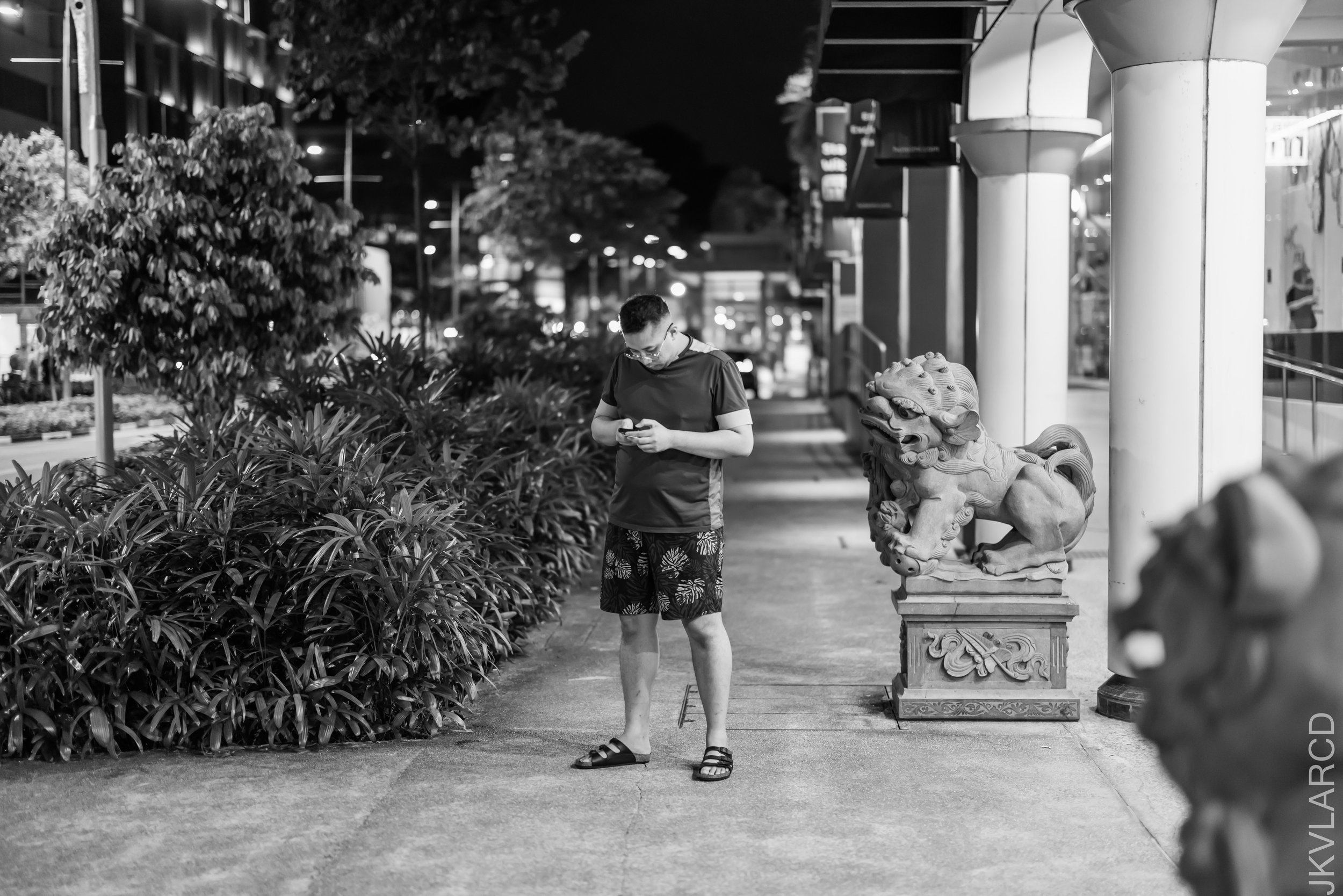 EOS R5_2023_02_11_2527.jpg