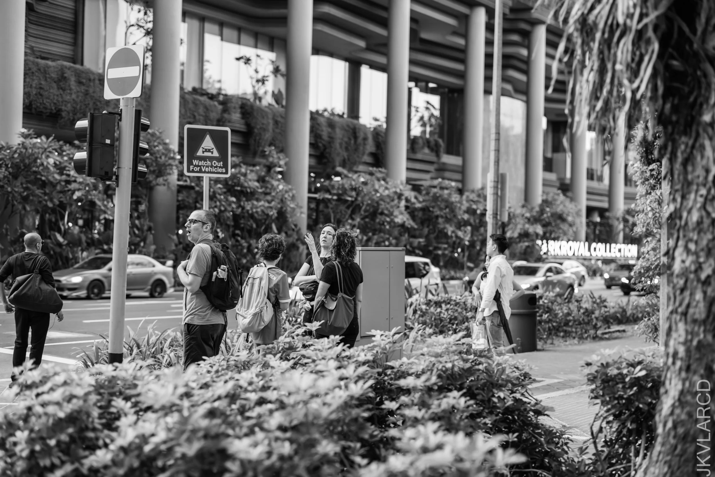 EOS R5_2023_02_18_3237.jpg