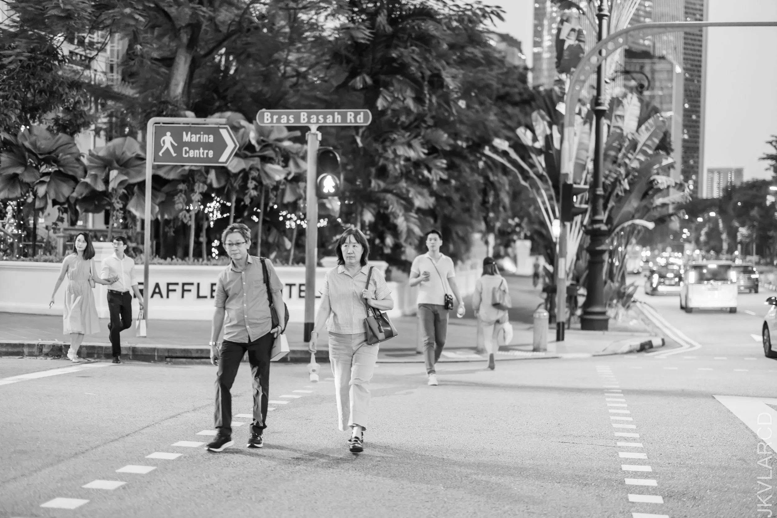 EOS R5_2023_02_18_3272.jpg