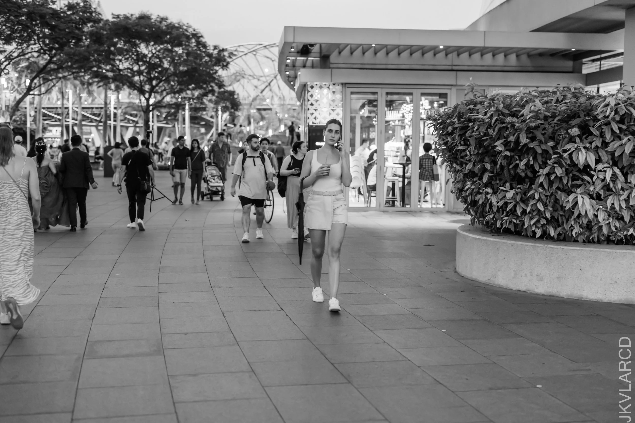 EOS R5_2023_04_08_5254.jpg