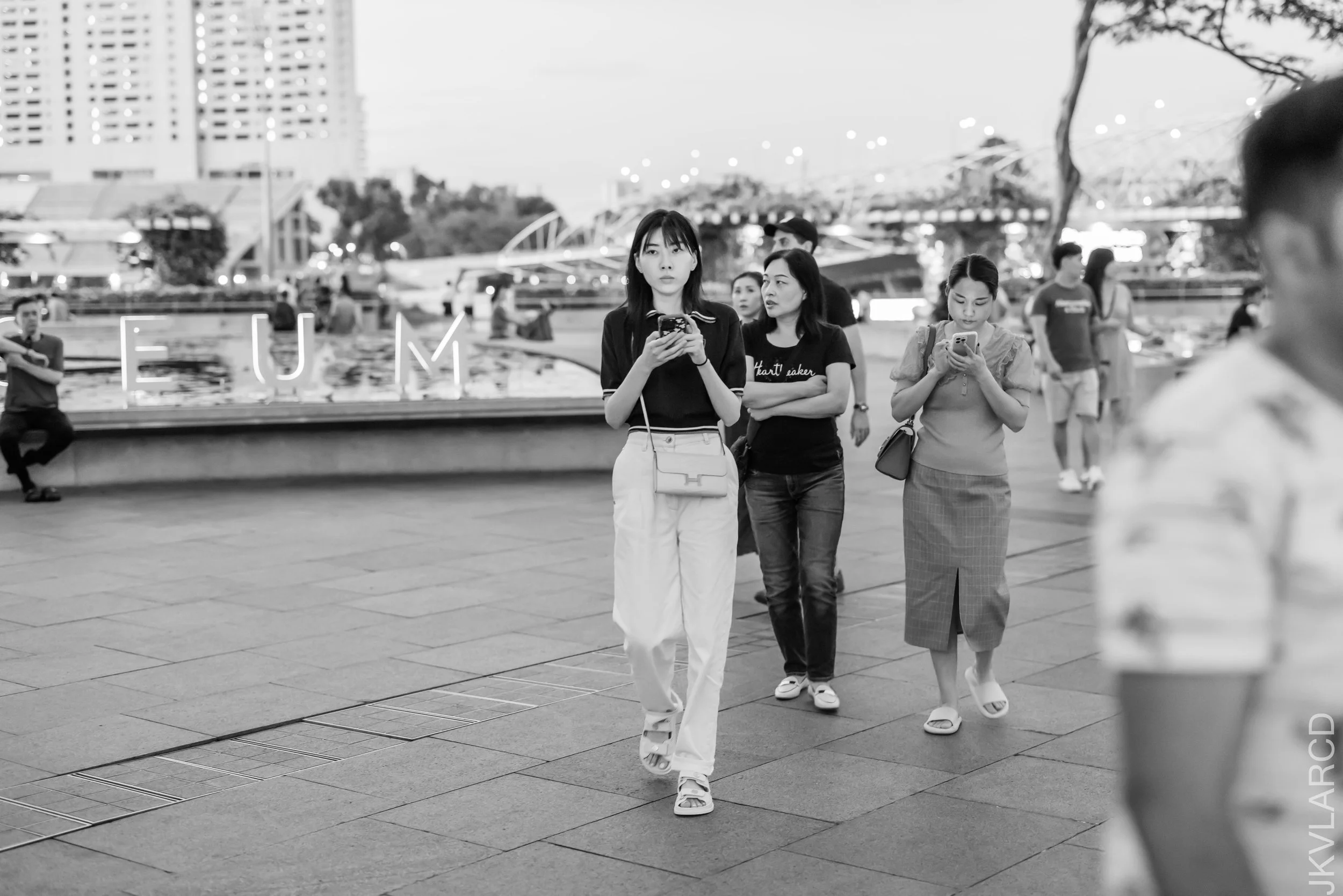 EOS R5_2023_04_08_5256.jpg