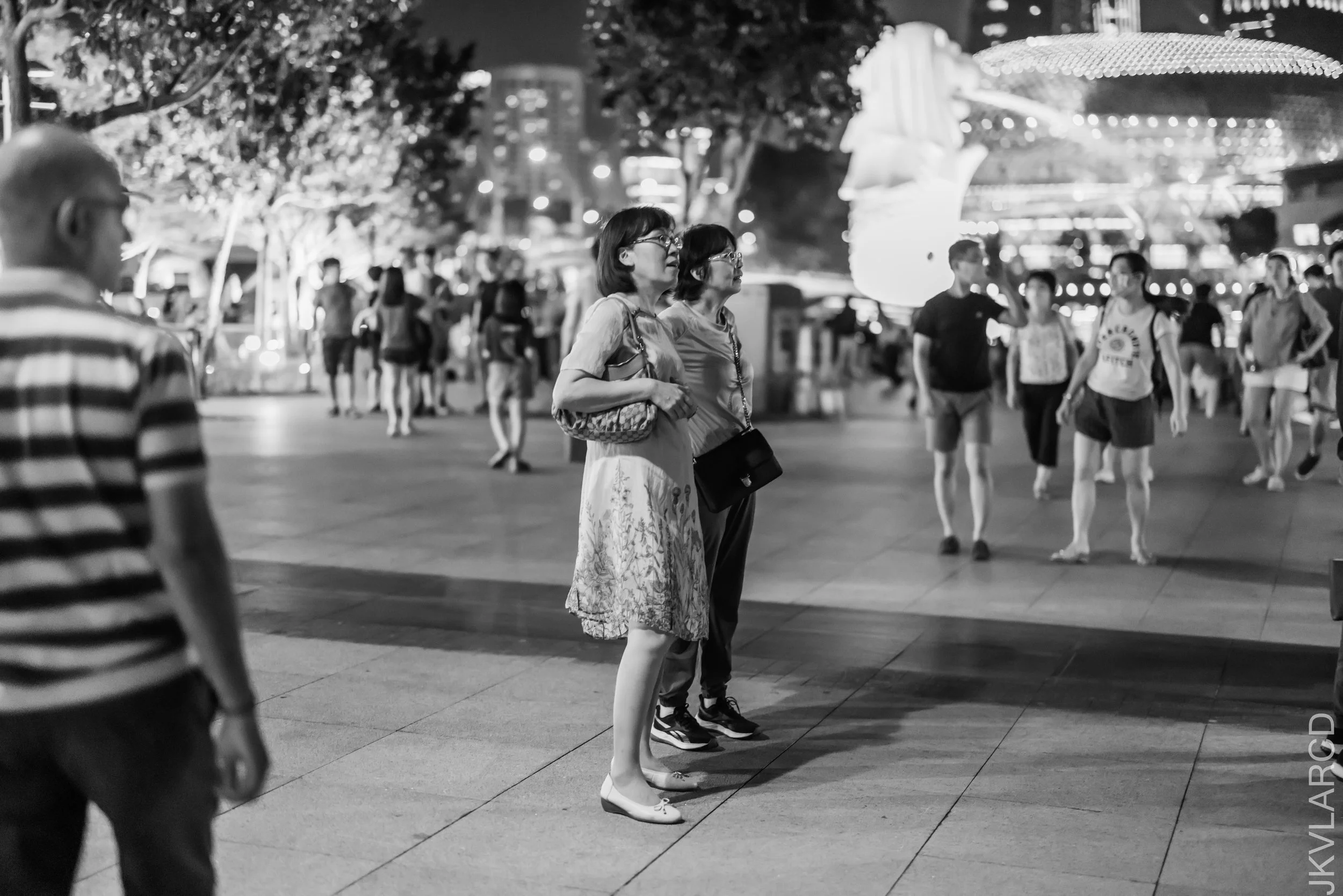 EOS R5_2023_04_08_5313.jpg