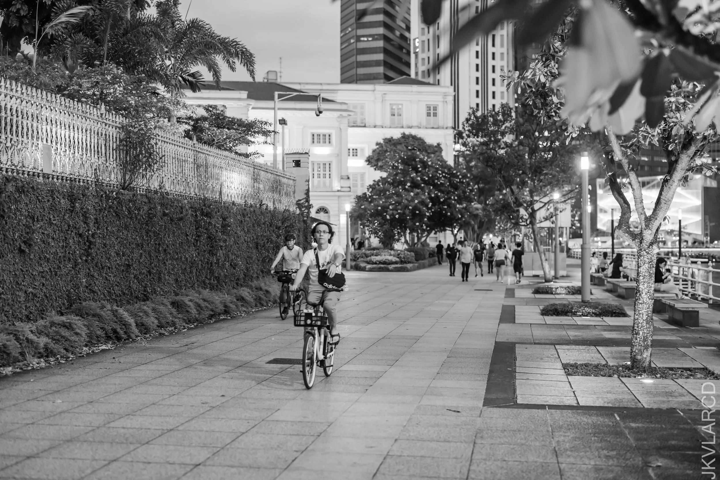 EOS R5_2023_05_13_5881.jpg