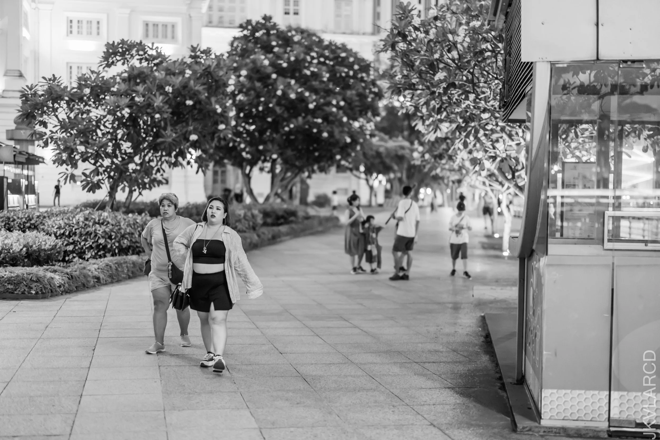 EOS R5_2023_05_13_5884.jpg
