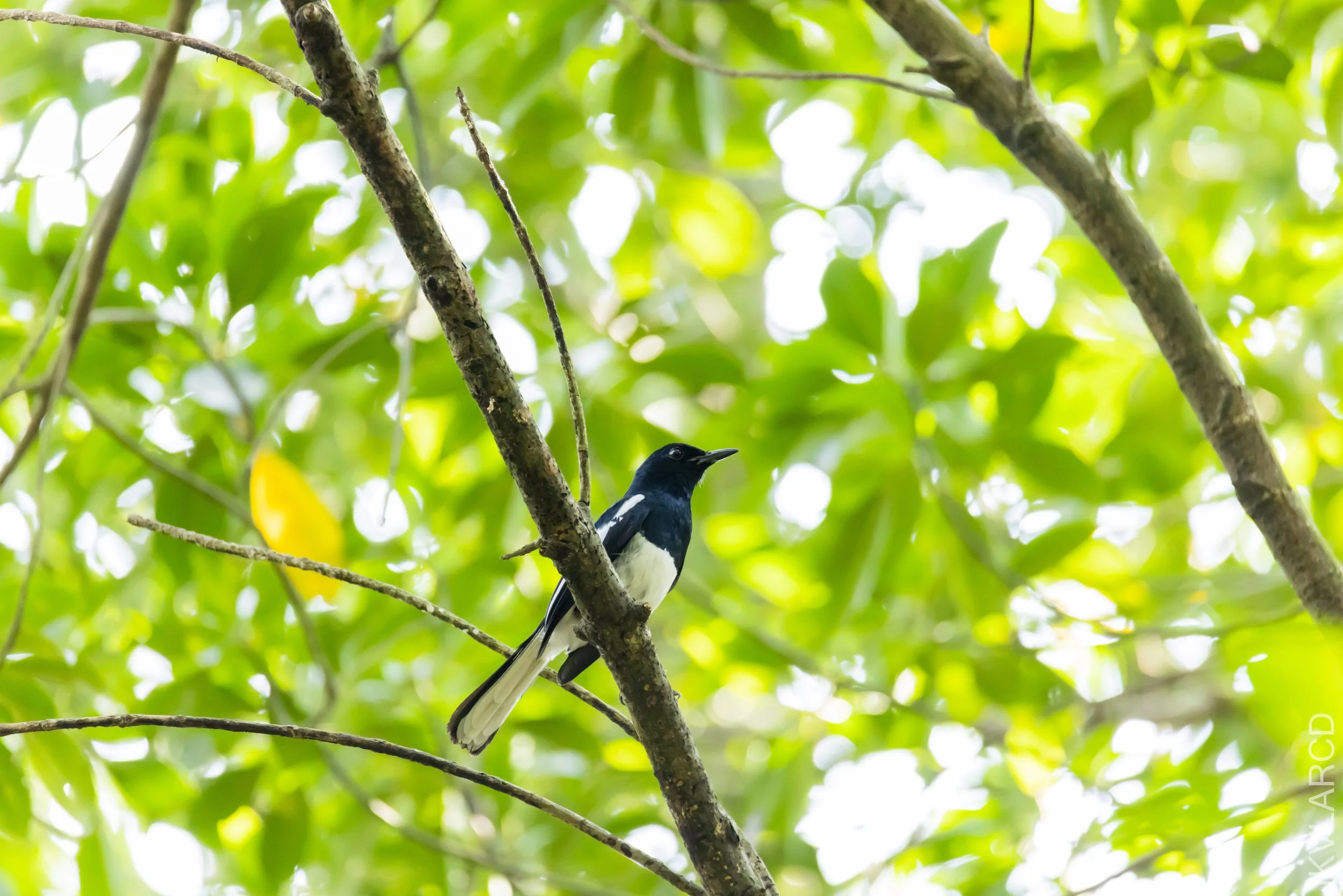 EOS R5_2023_05_20_6542.jpg