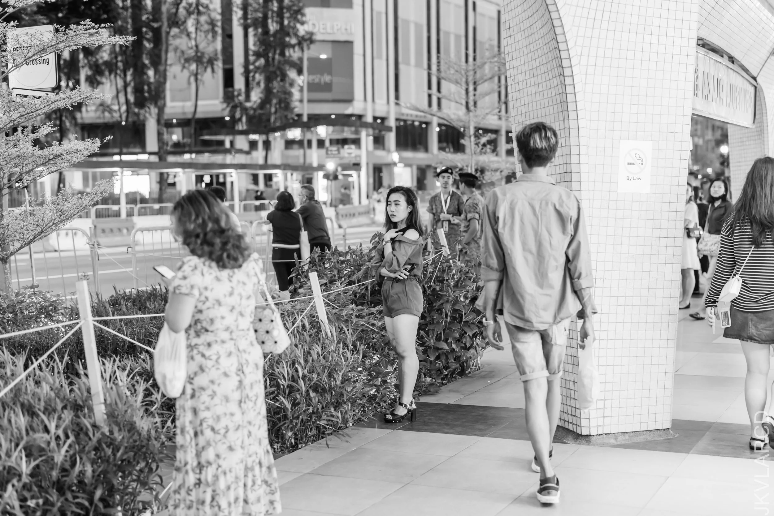 EOS R5_2023_06_10_7141.jpg