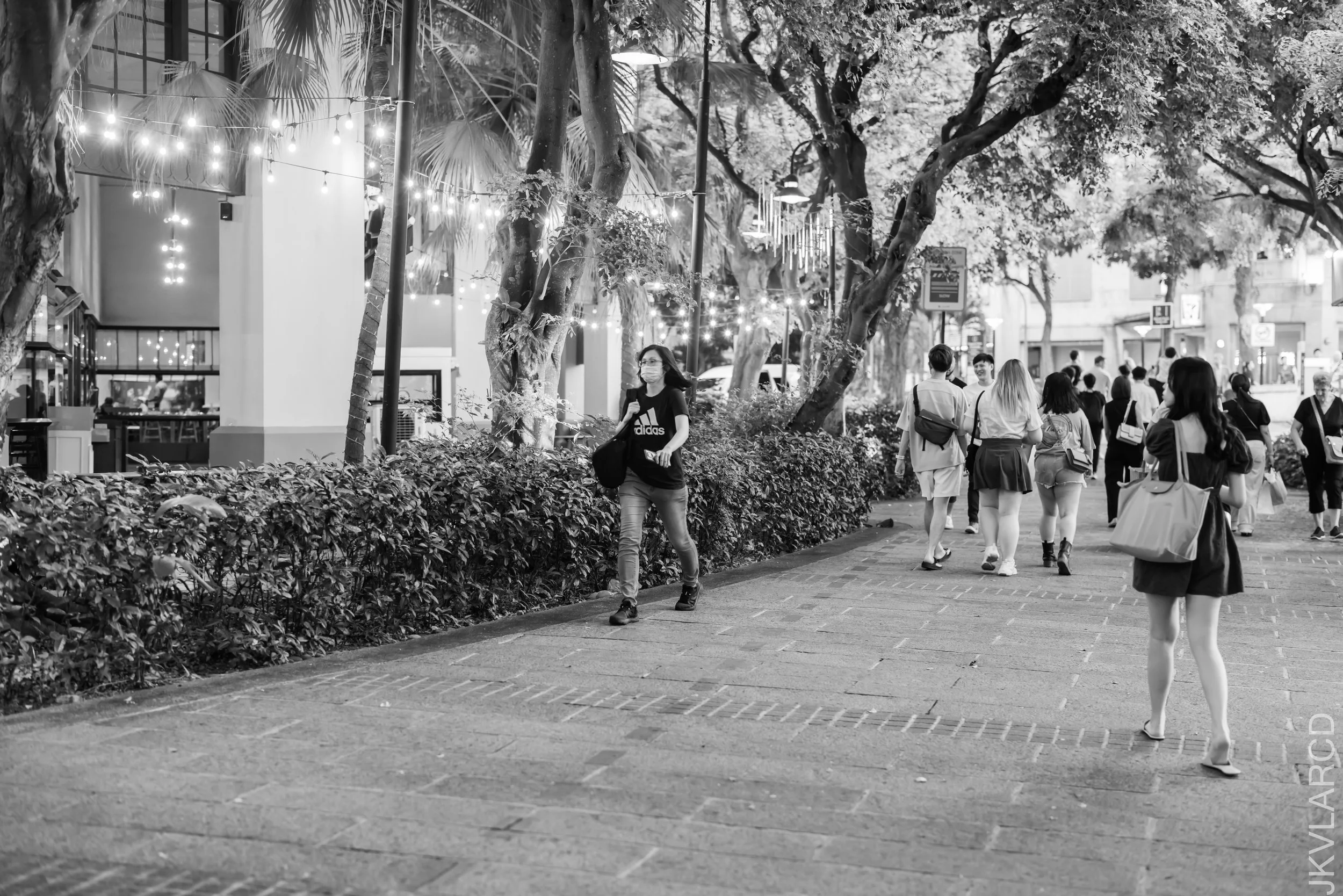 EOS R5_2023_06_17_7258.jpg