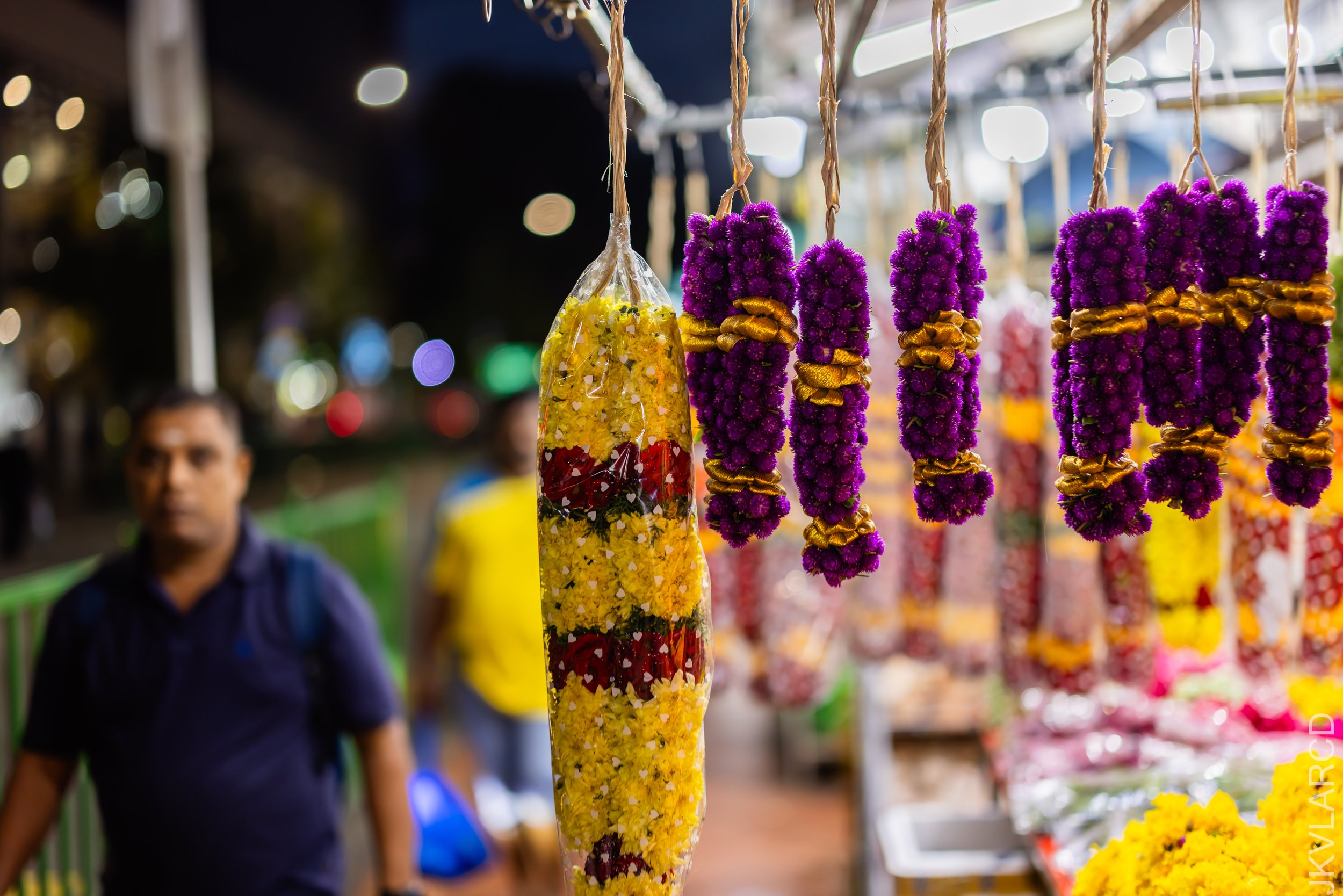 EOS R5_2023_07_01_7508.jpg