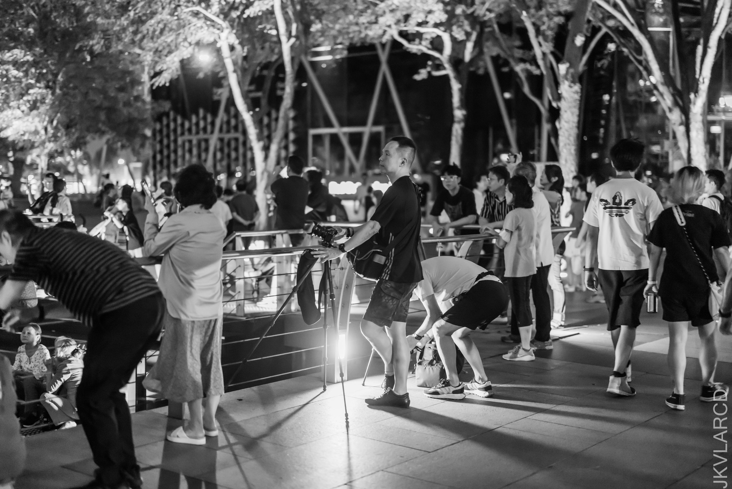 EOS R5_2023_07_08_7567.jpg