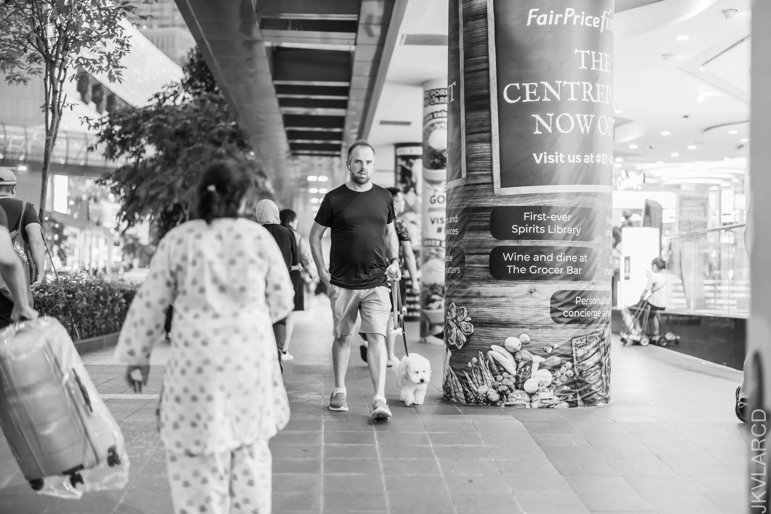 EOS R5_2023_07_29_7781.jpg