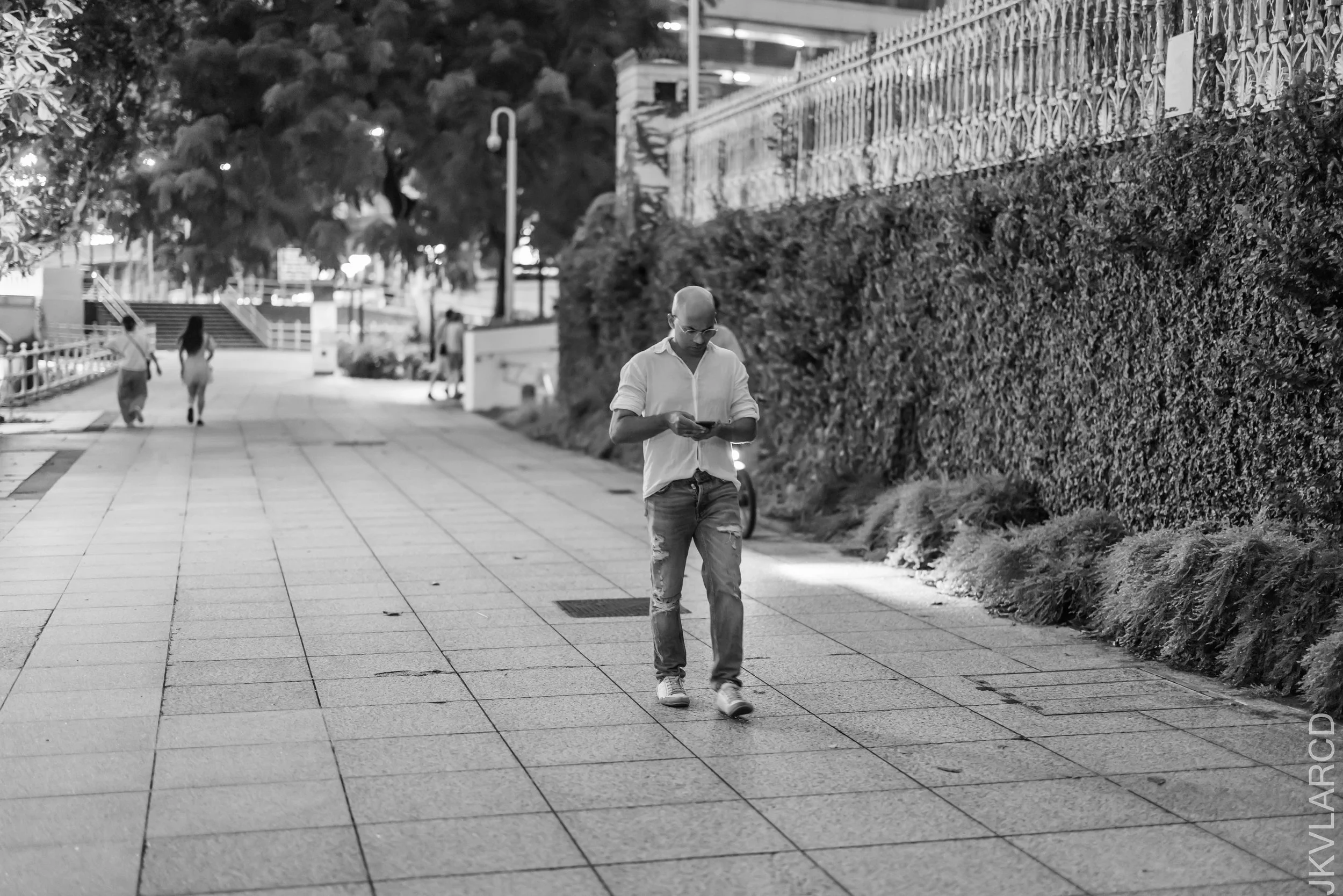 EOS R5_2023_08_19_8179.jpg