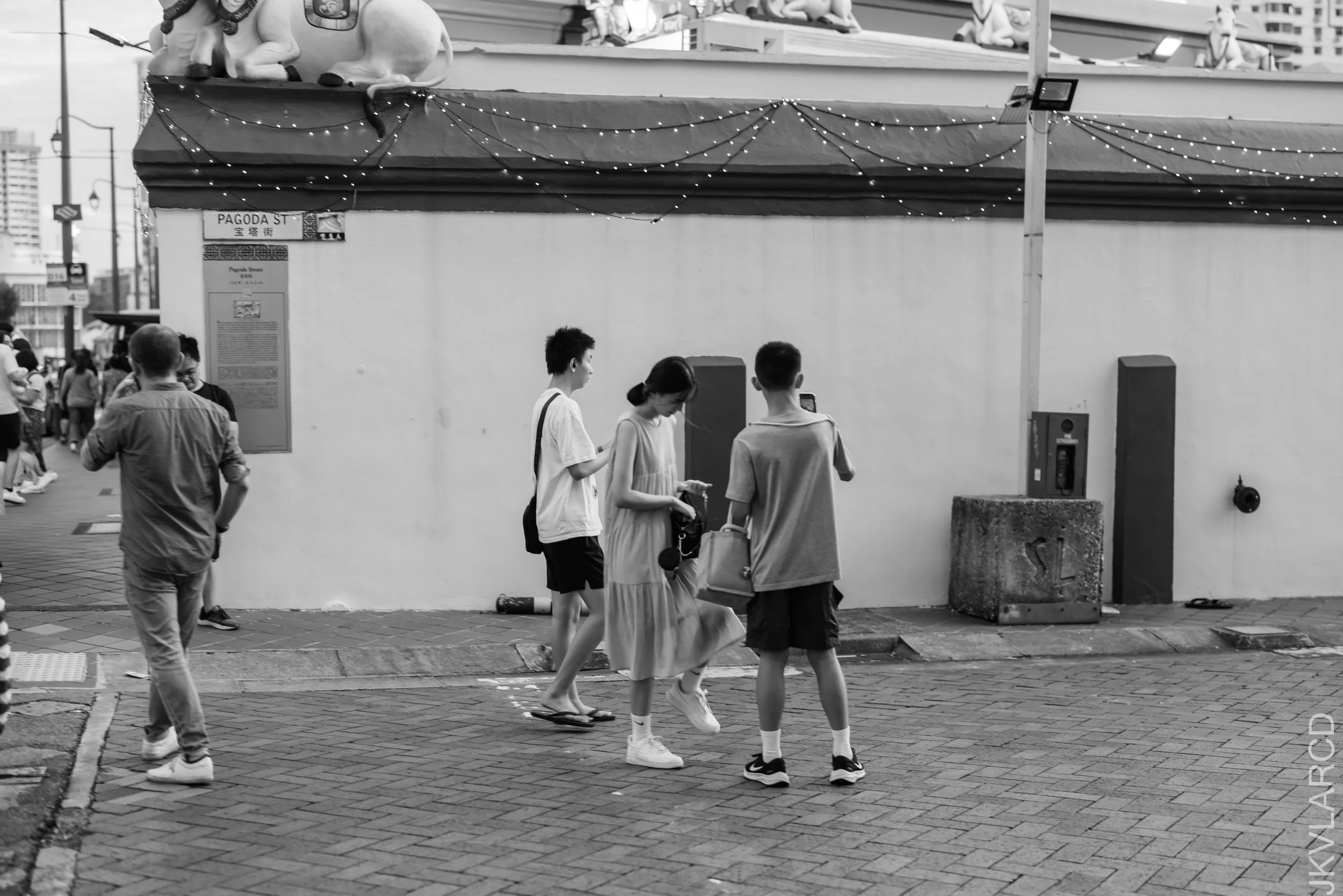 EOS R5_2023_08_26_8251.jpg