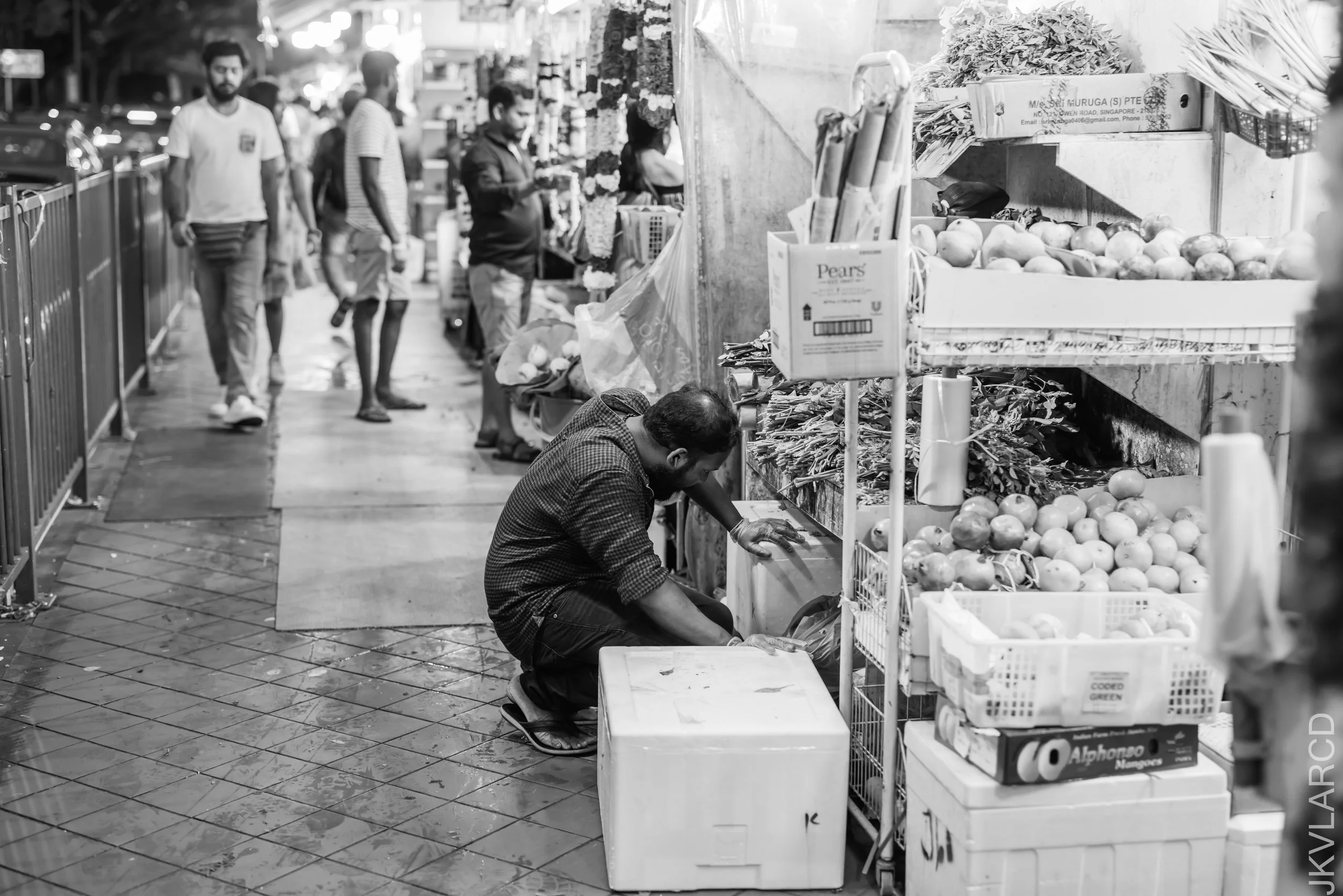 EOS R5_2023_10_21_8701.jpg