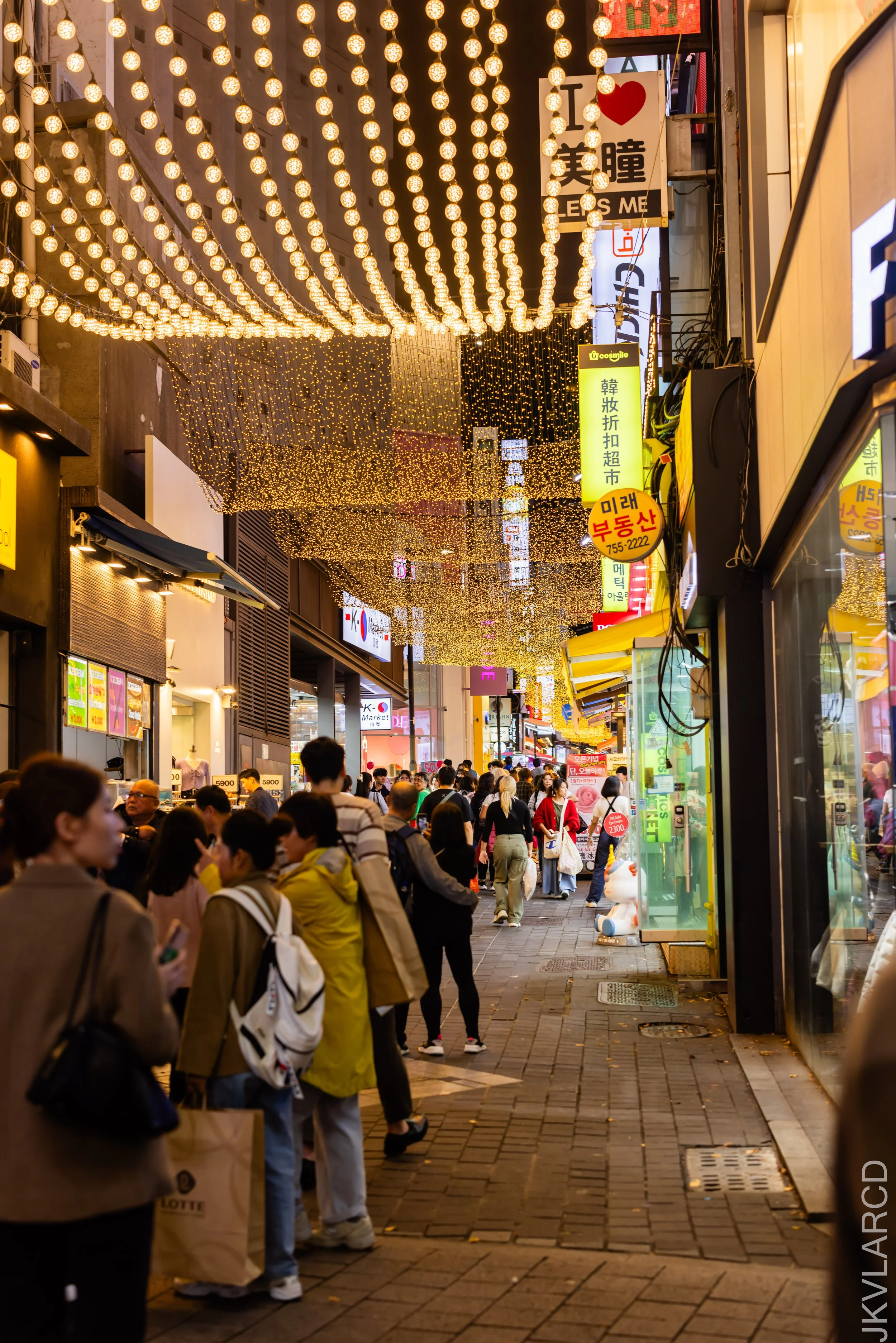 EOS R5_2023_11_05_9003.jpg