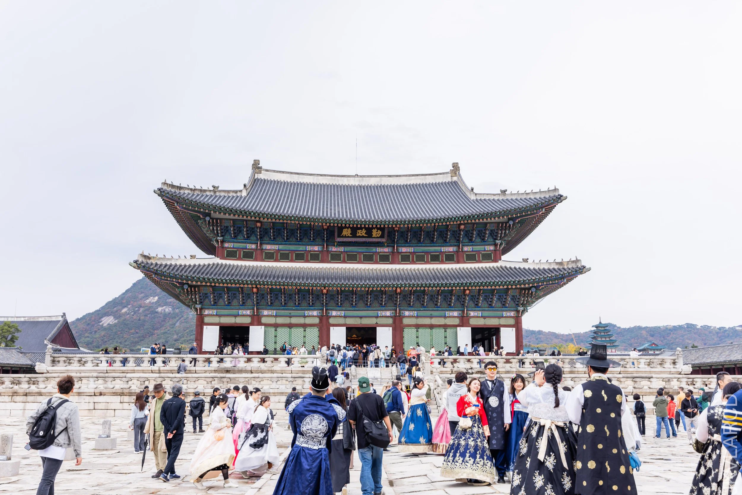 EOS R5_2023_11_05_8889.jpg