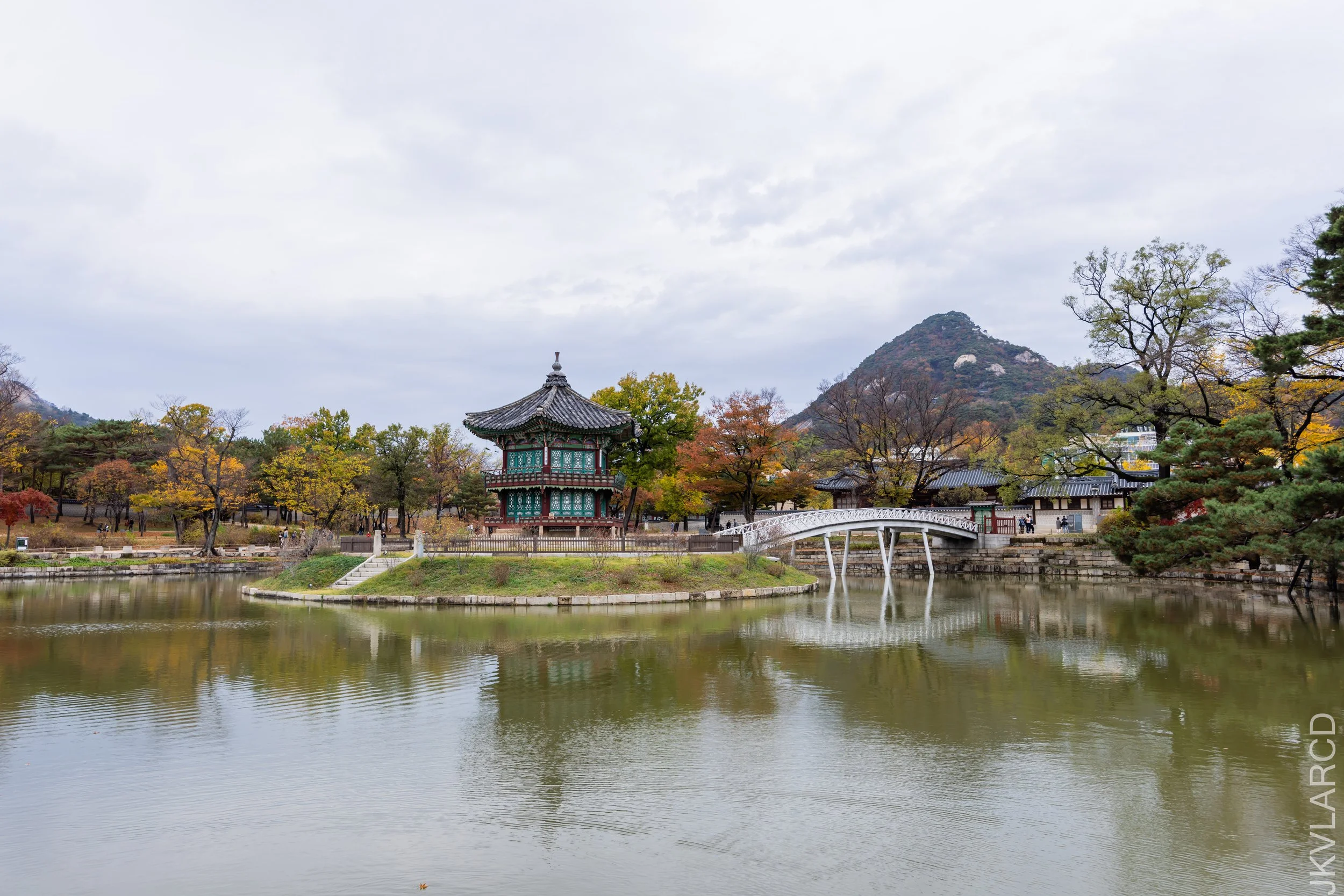 EOS R5_2023_11_05_8912.jpg