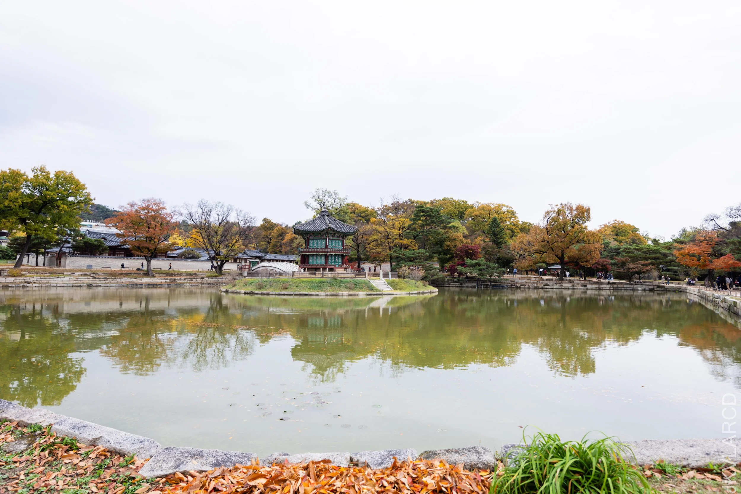 EOS R5_2023_11_05_8905.jpg