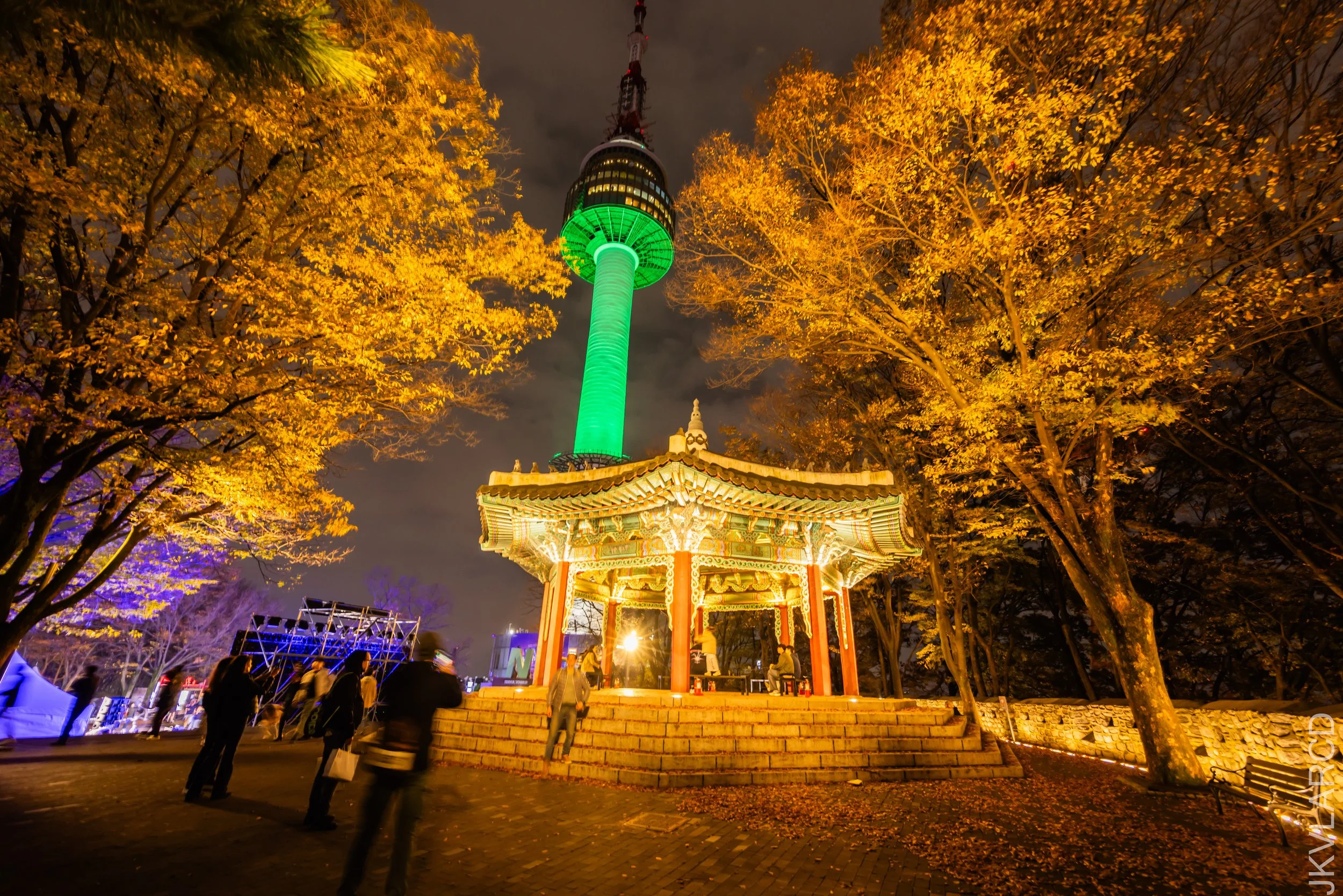 EOS R5_2023_11_05_9022.jpg