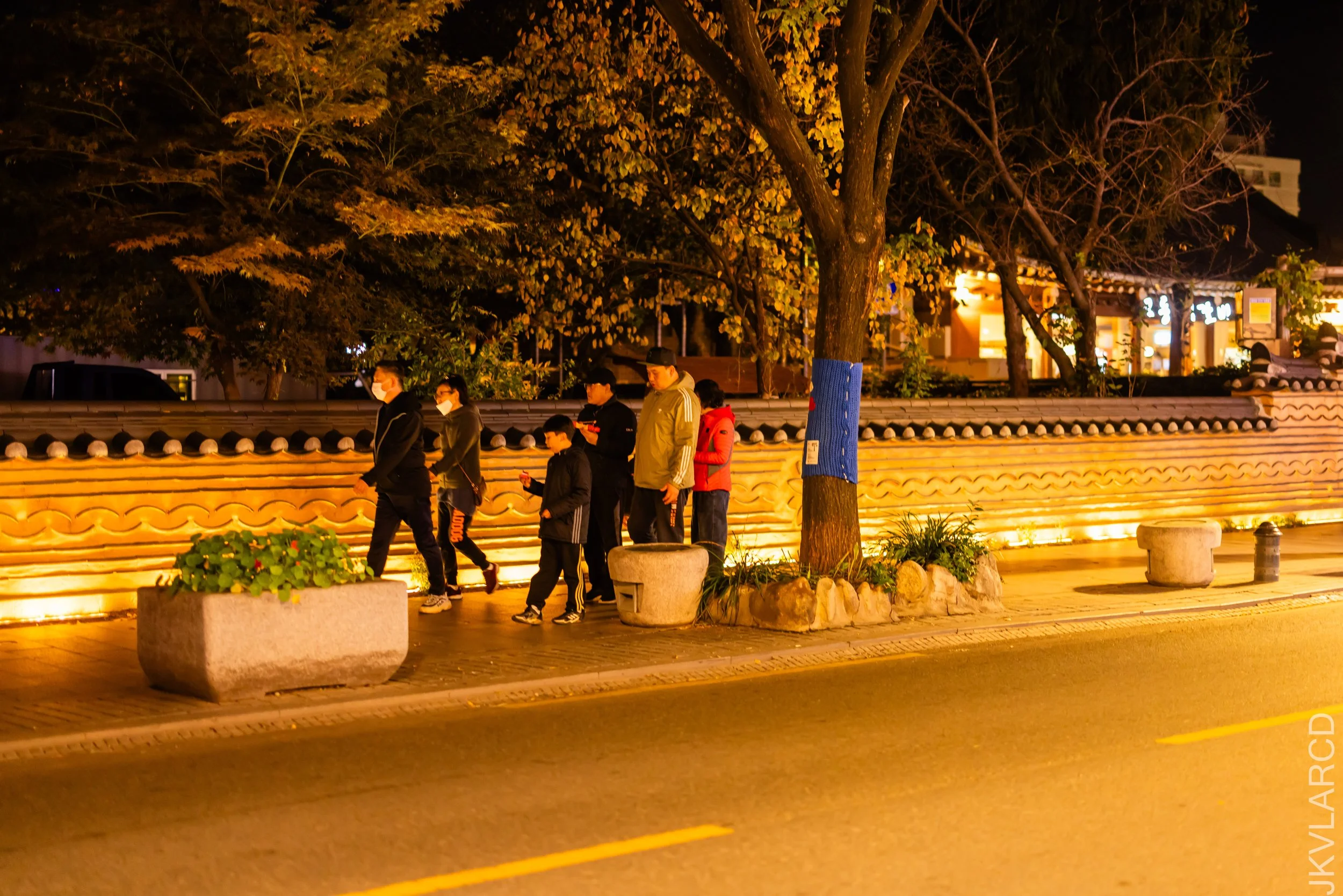 EOS R5_2023_11_07_9159.jpg