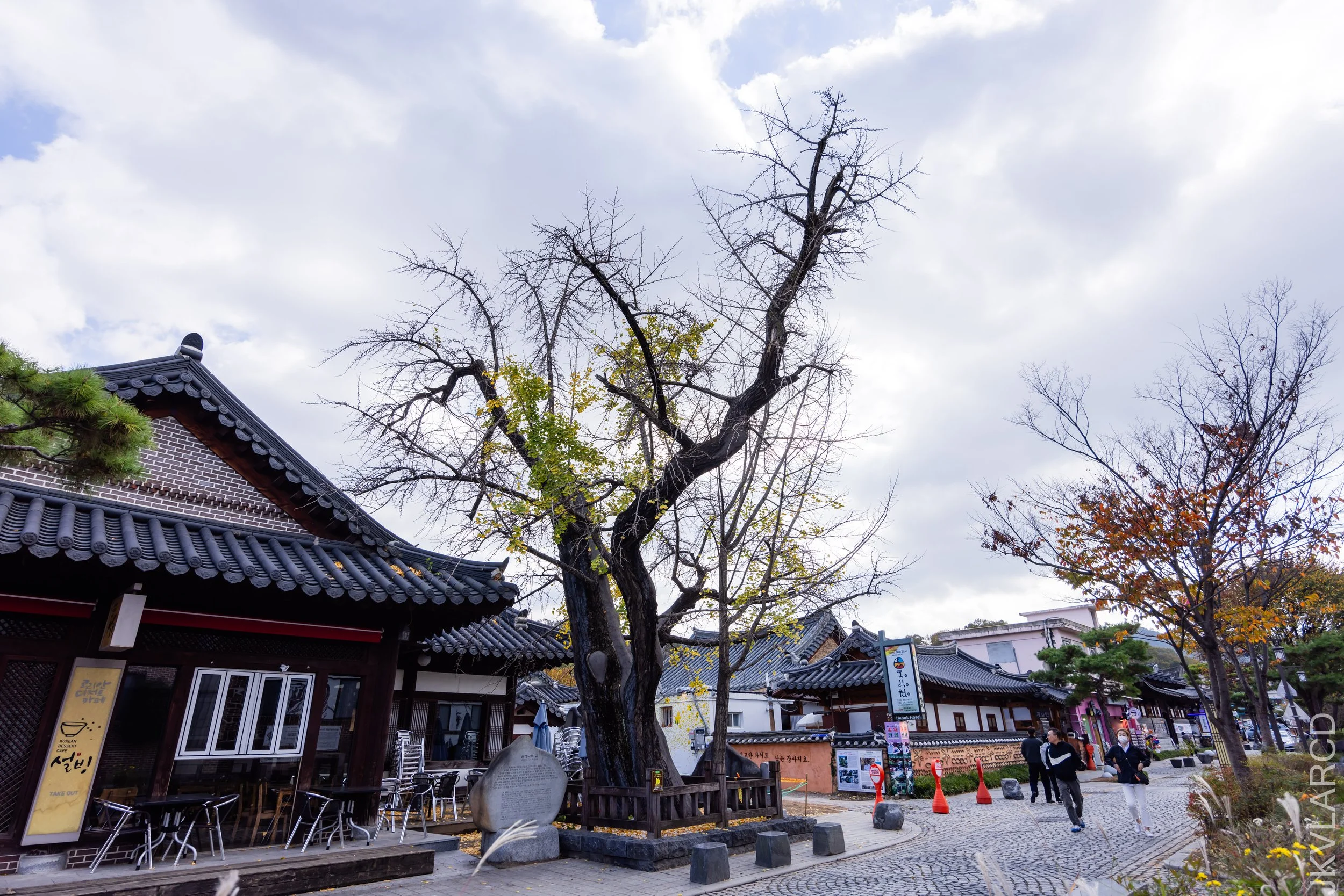 EOS R5_2023_11_07_9045.jpg