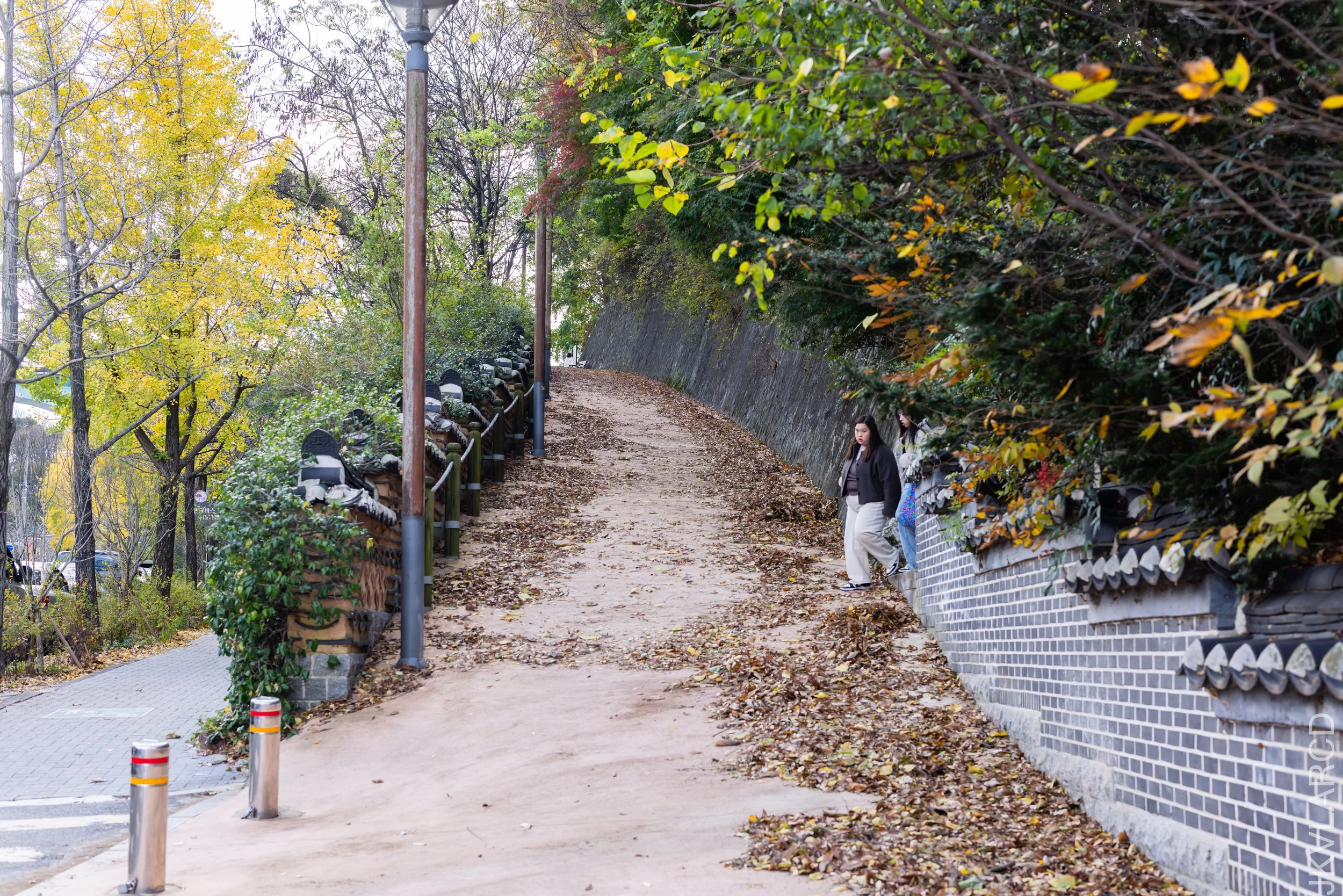 EOS R5_2023_11_07_9063.jpg