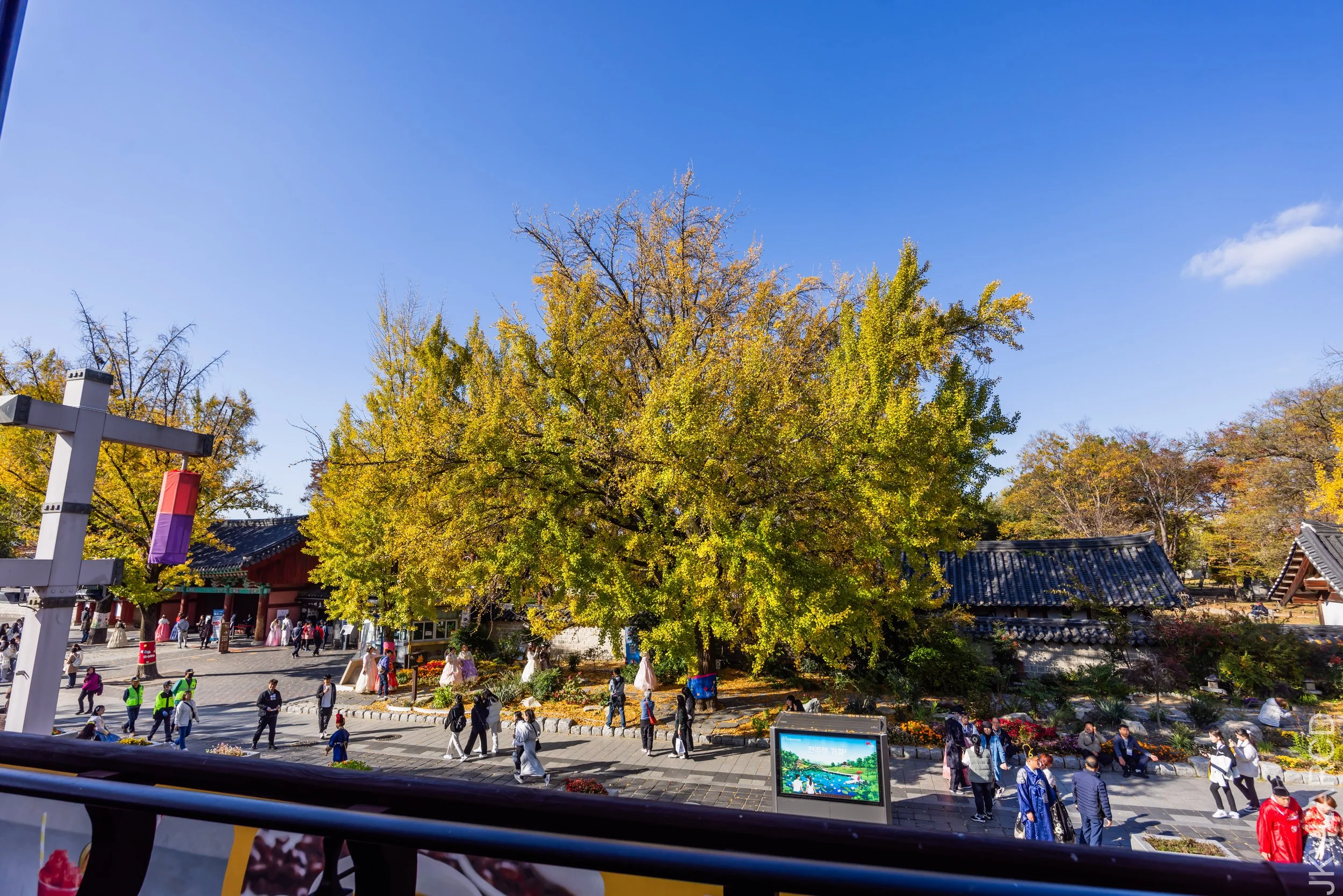 EOS R5_2023_11_07_9085.jpg