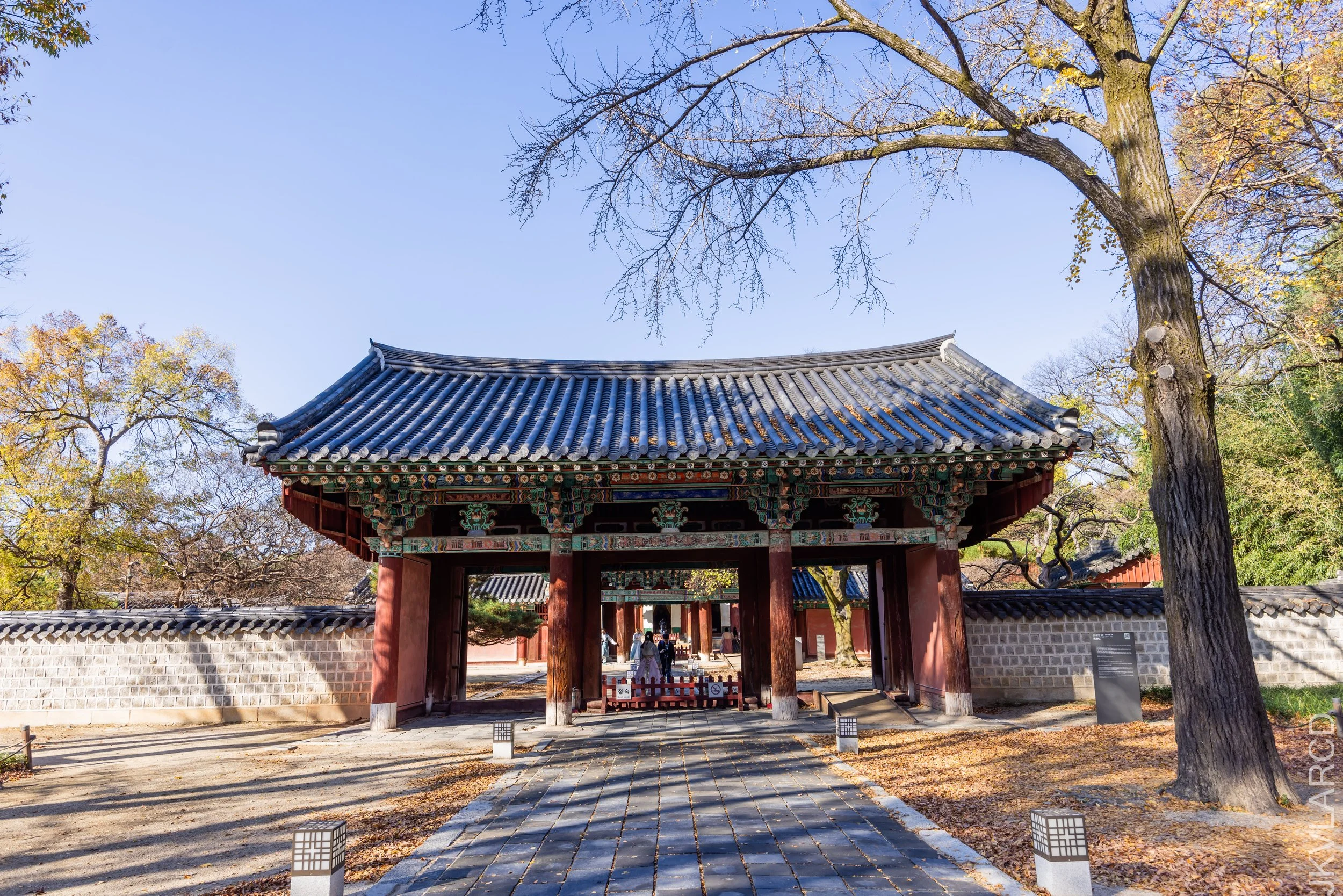 EOS R5_2023_11_07_9092.jpg