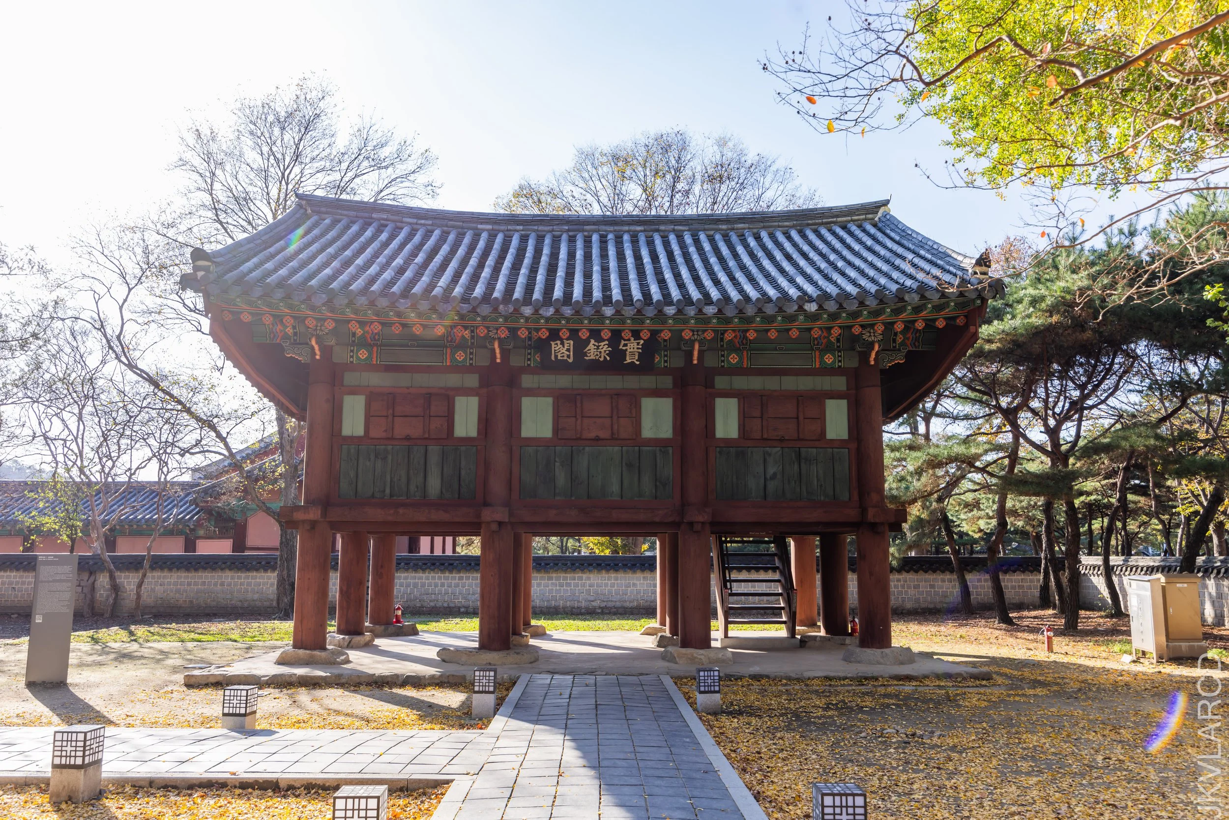 EOS R5_2023_11_07_9107.jpg