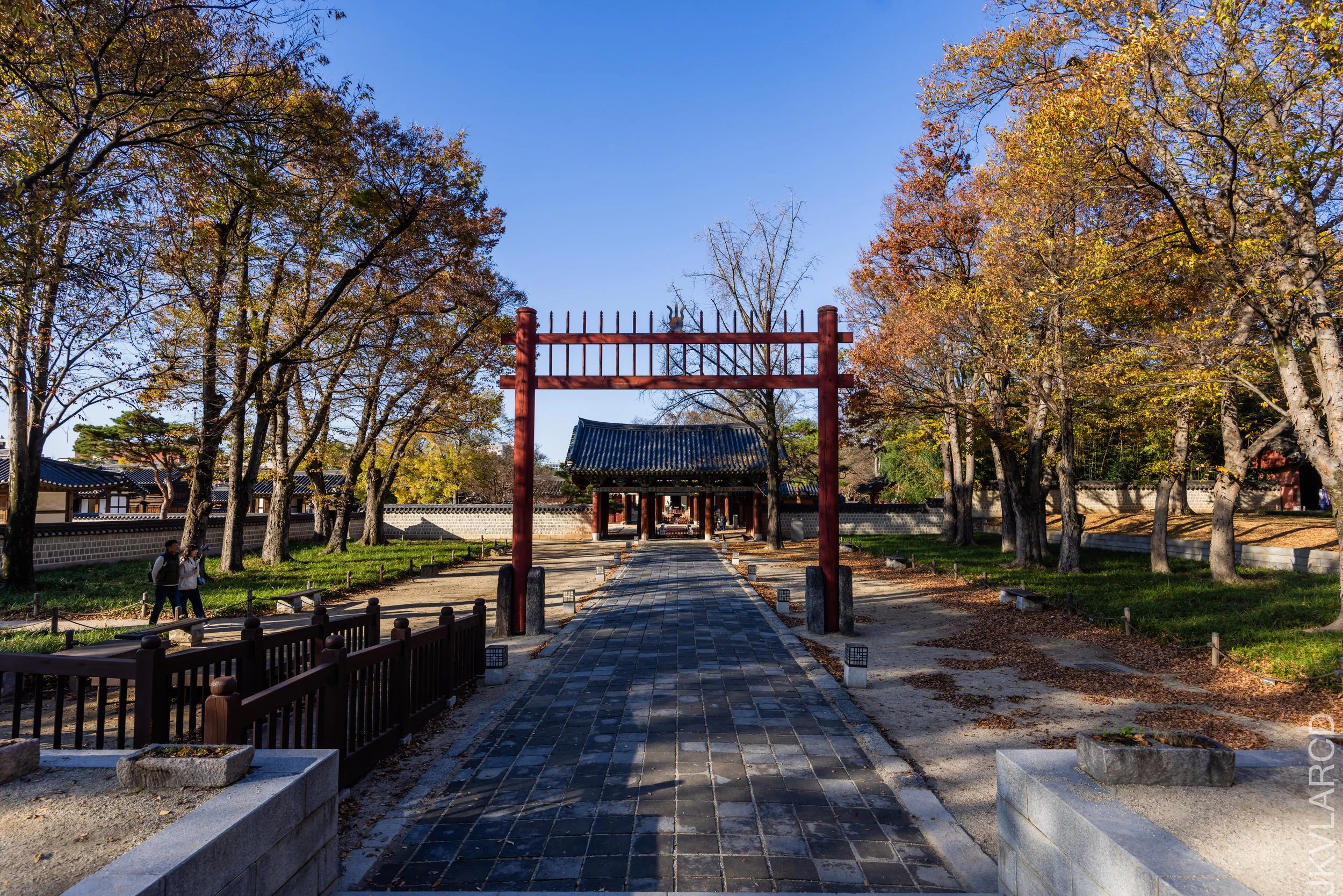 EOS R5_2023_11_07_9117.jpg