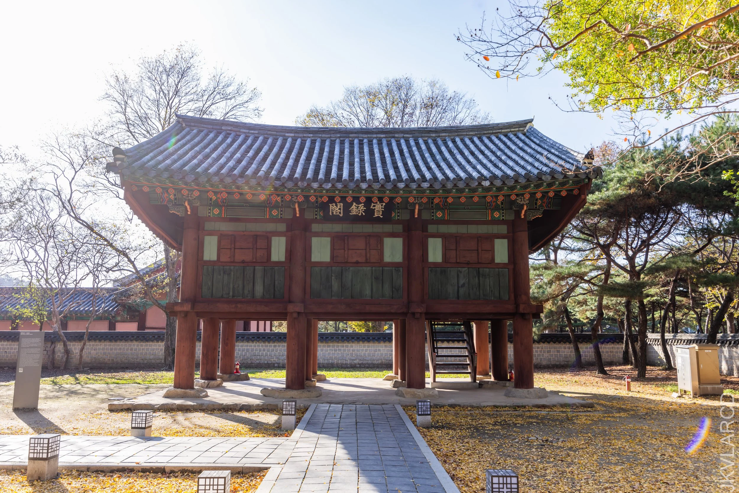 EOS R5_2023_11_07_9108.jpg