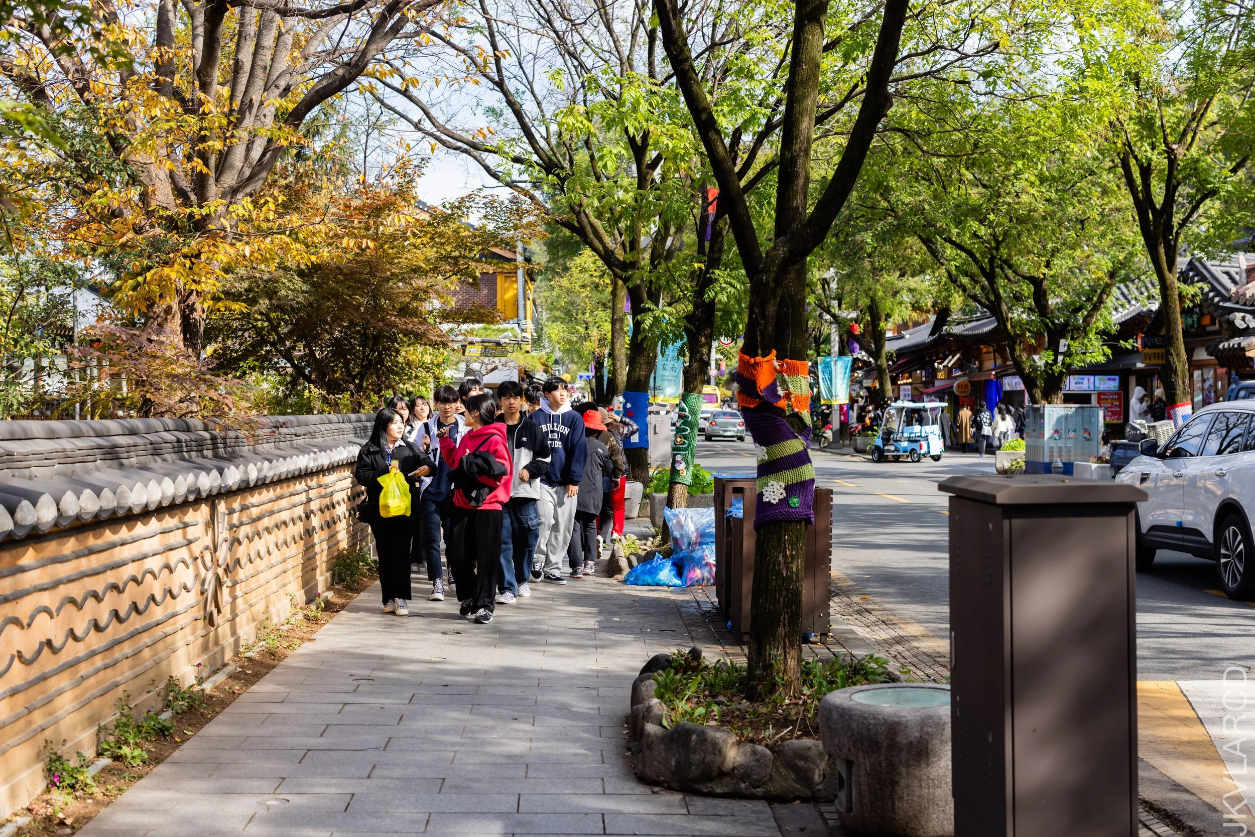 EOS R5_2023_11_08_9177.jpg