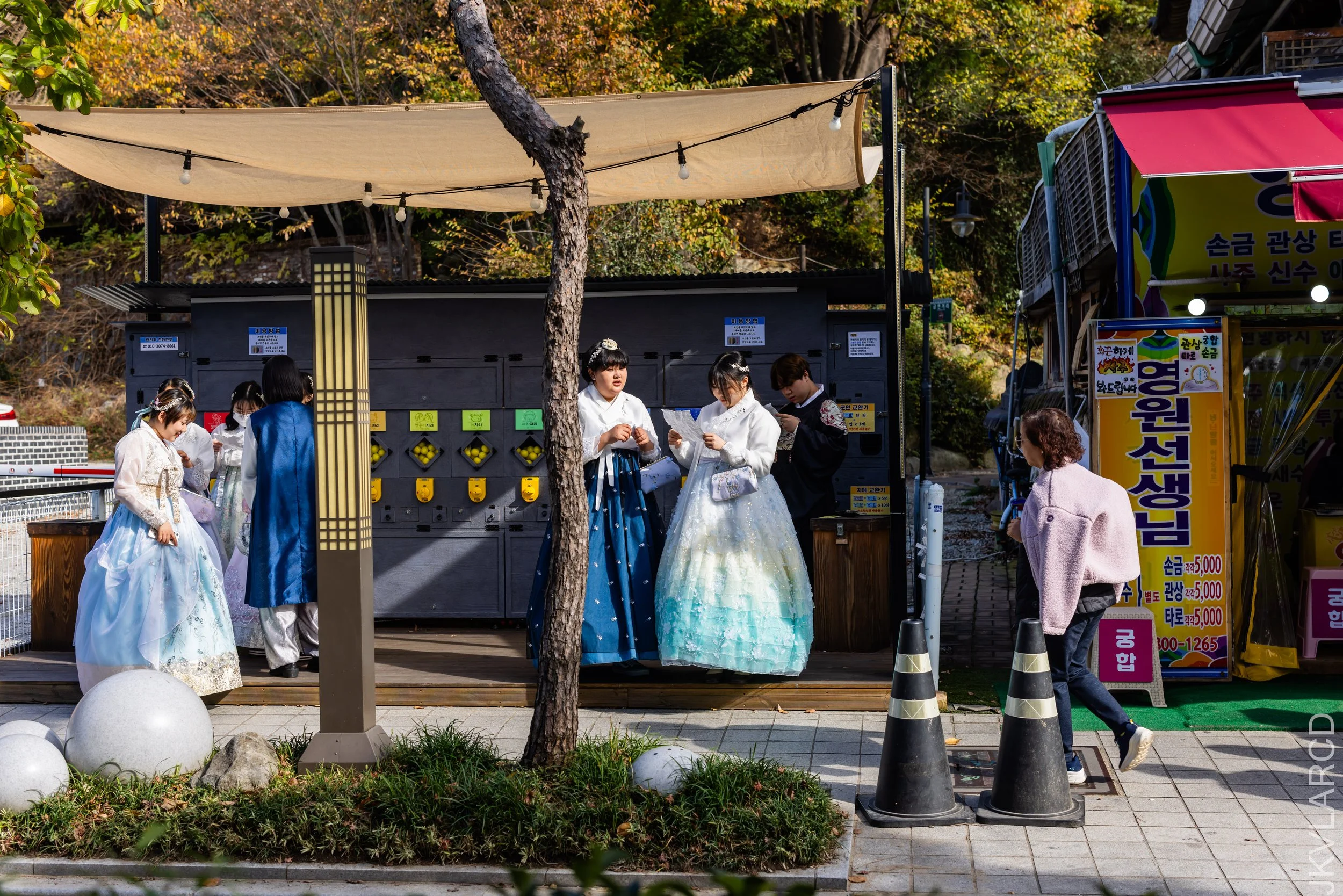 EOS R5_2023_11_08_9187.jpg